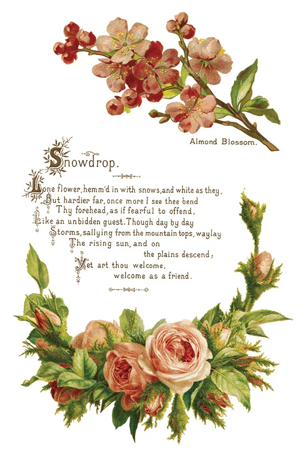 IOD-TRA-LOV_g.webp