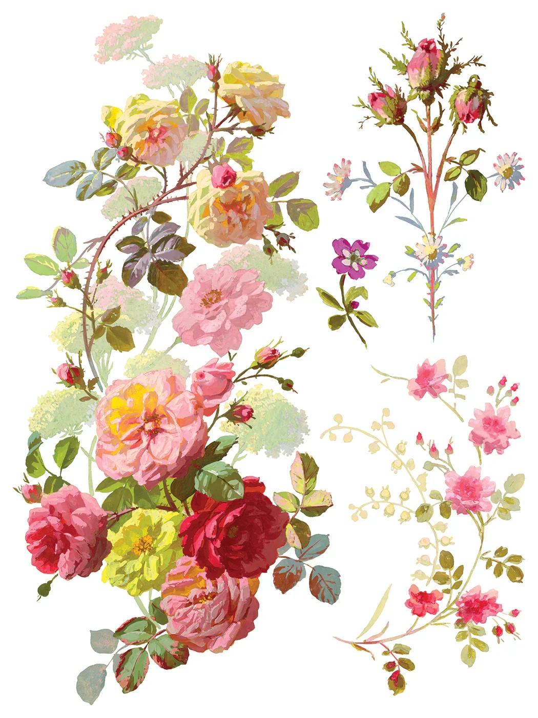 IOD-TRA-SAI_h.webp