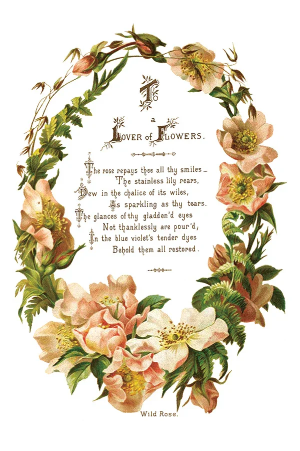 IOD-TRA-LOV_j.webp