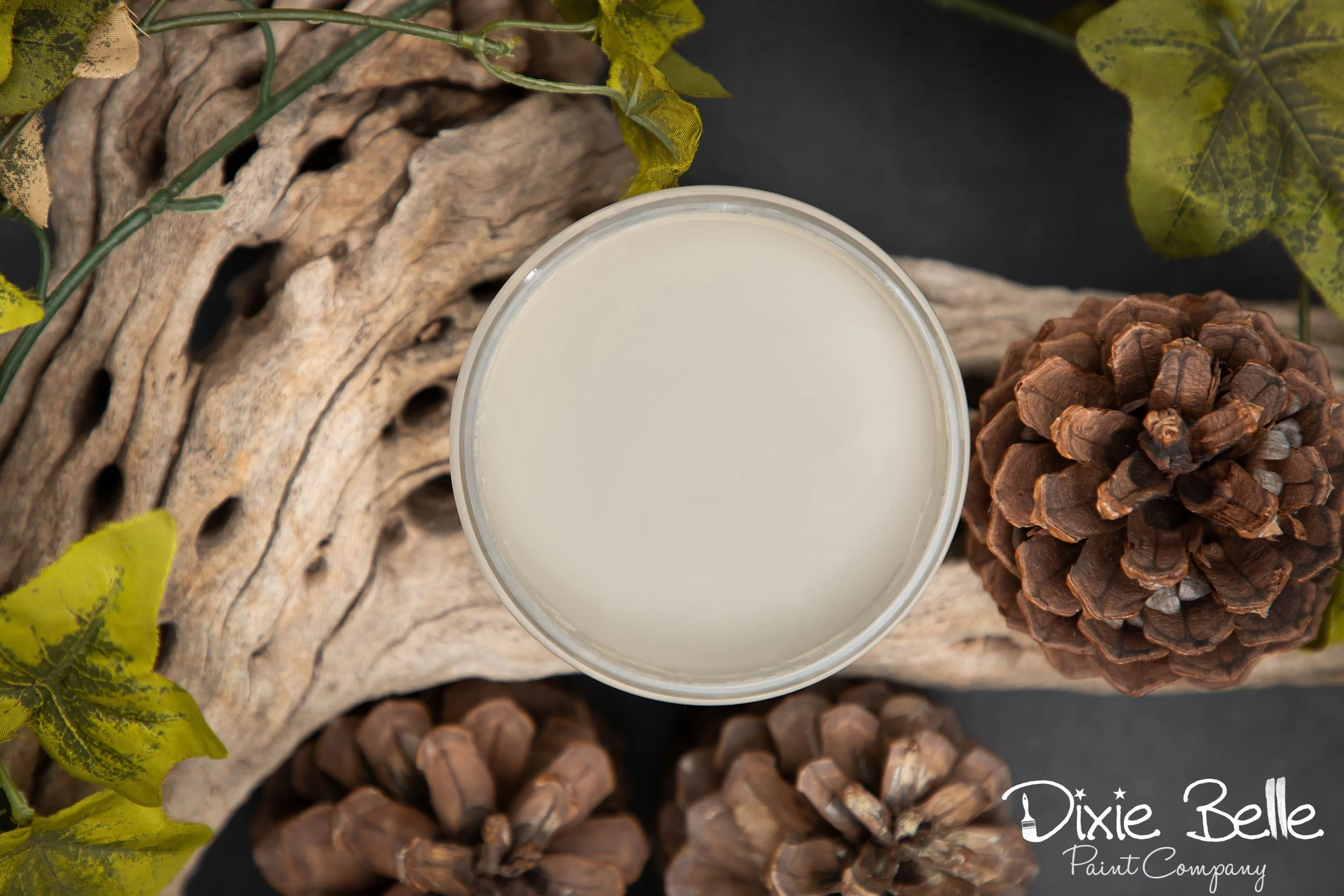 Dried Sage Chalk Mineral Paint