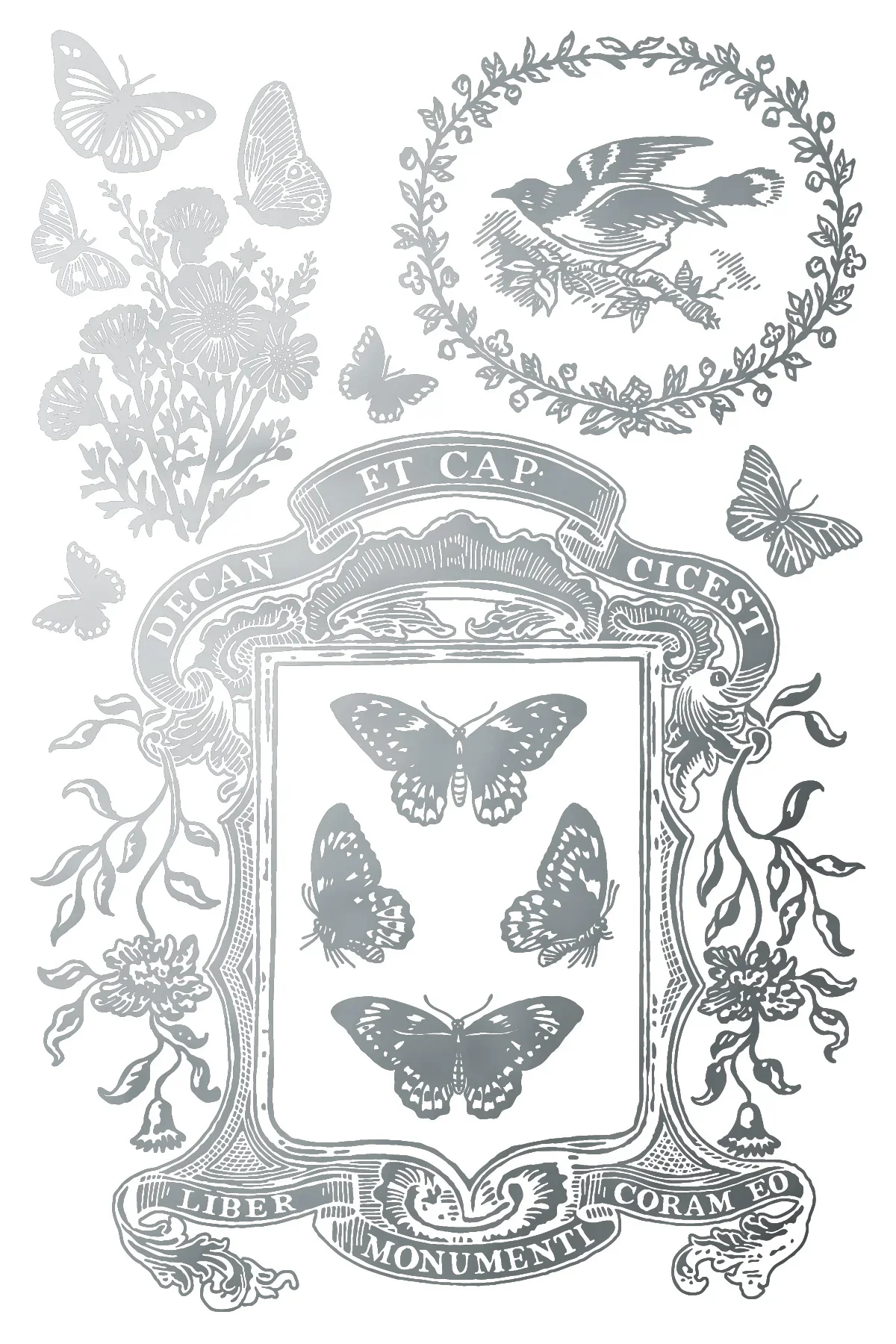 IOD-FOI-PAP_c.webp