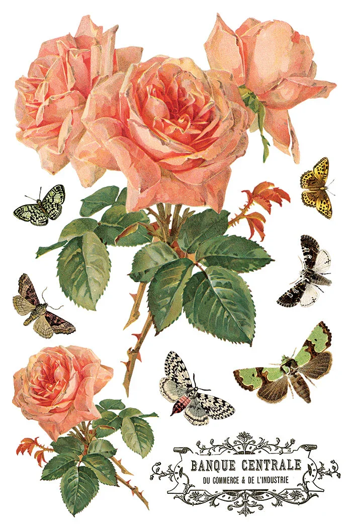 IOD-TRA-BYA_g.webp