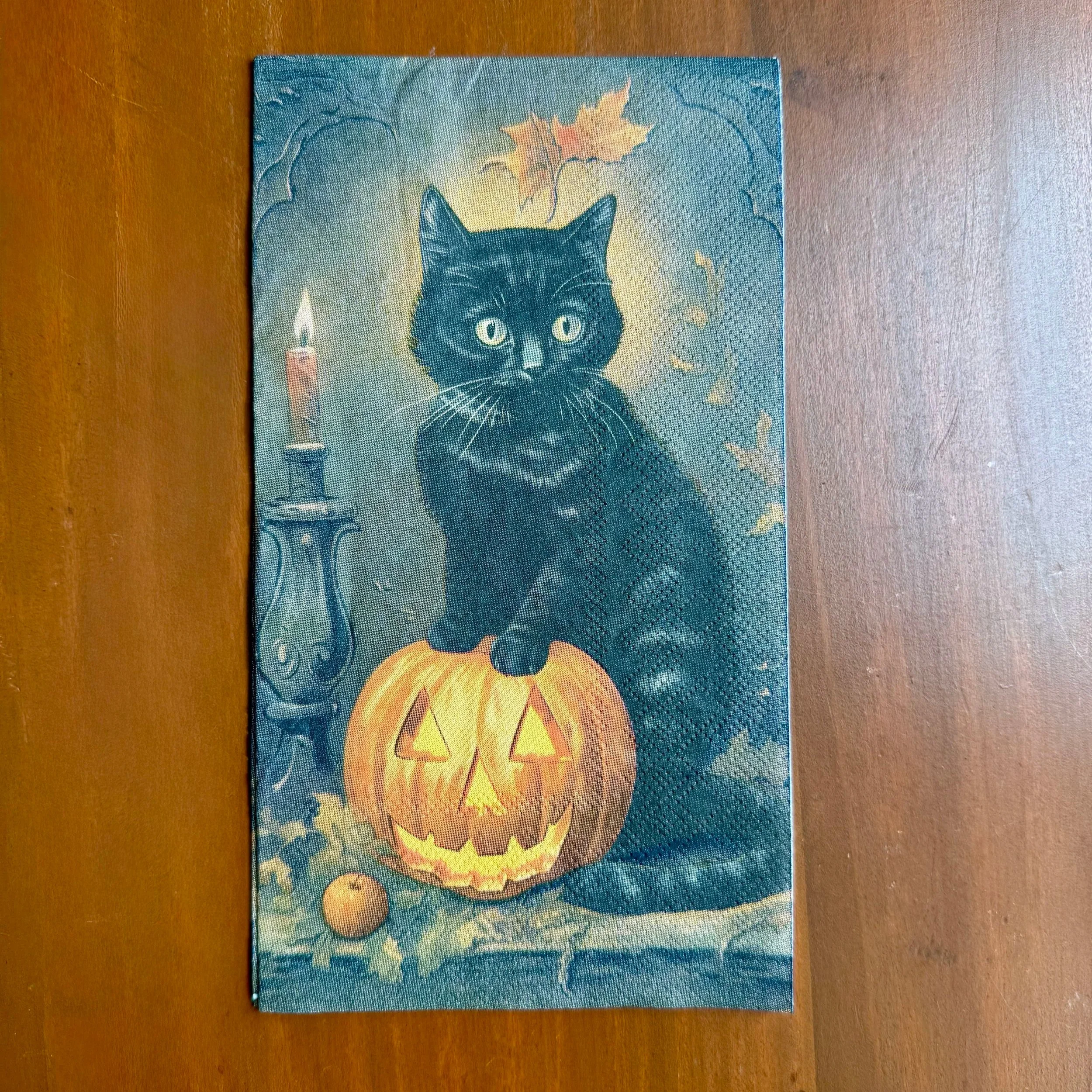HalloweenCat_Dinner_1.jpg