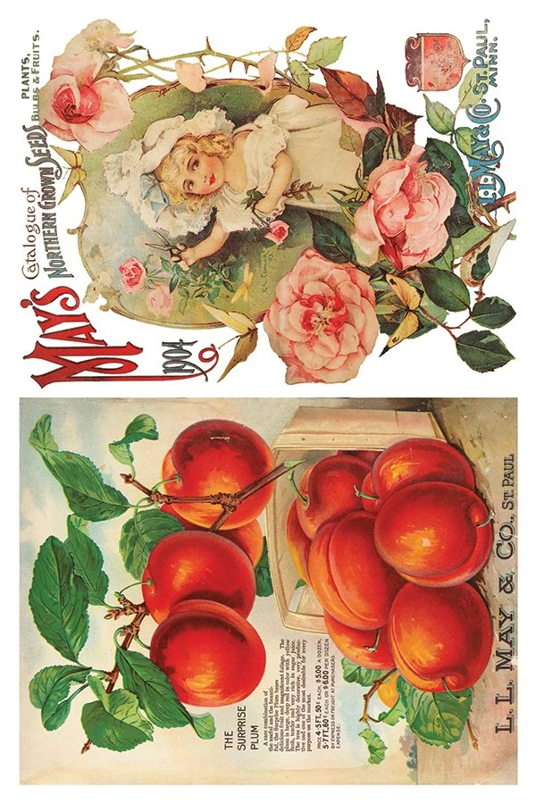 IOD-TRA-SEE page 3.jpg