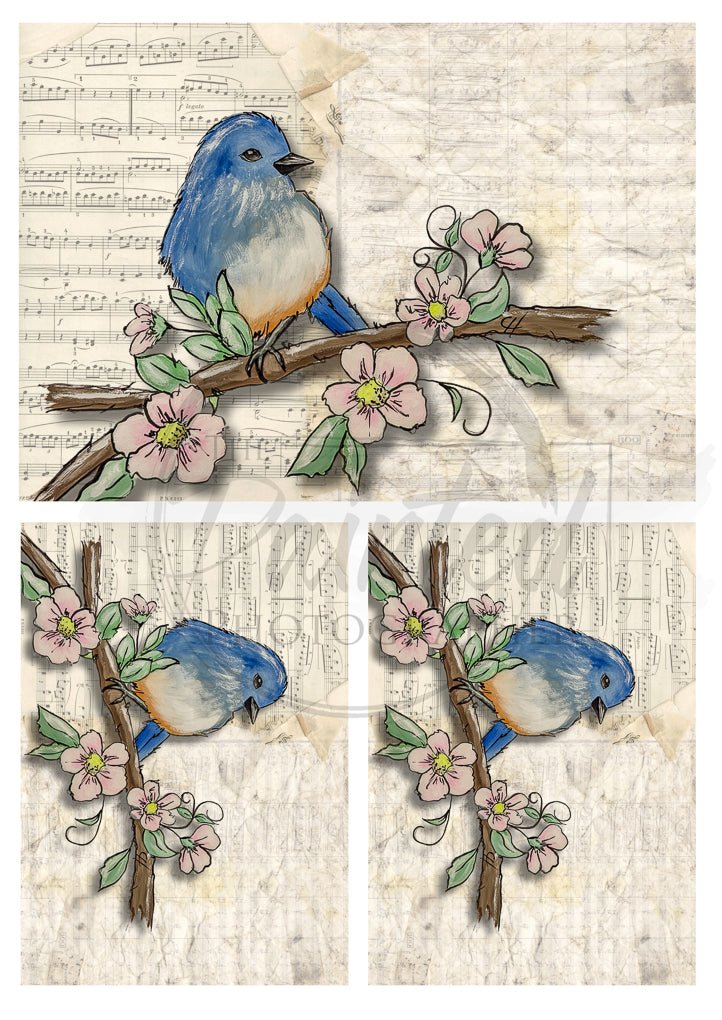 Multiple Moments of Happiness with Music - Connie's Rice Paper Retailers