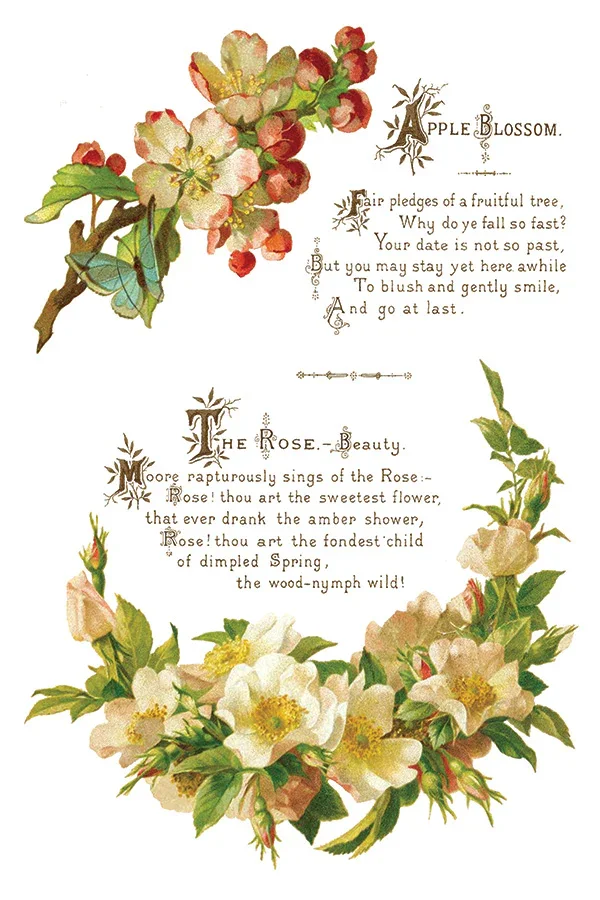 IOD-TRA-LOV_h.webp