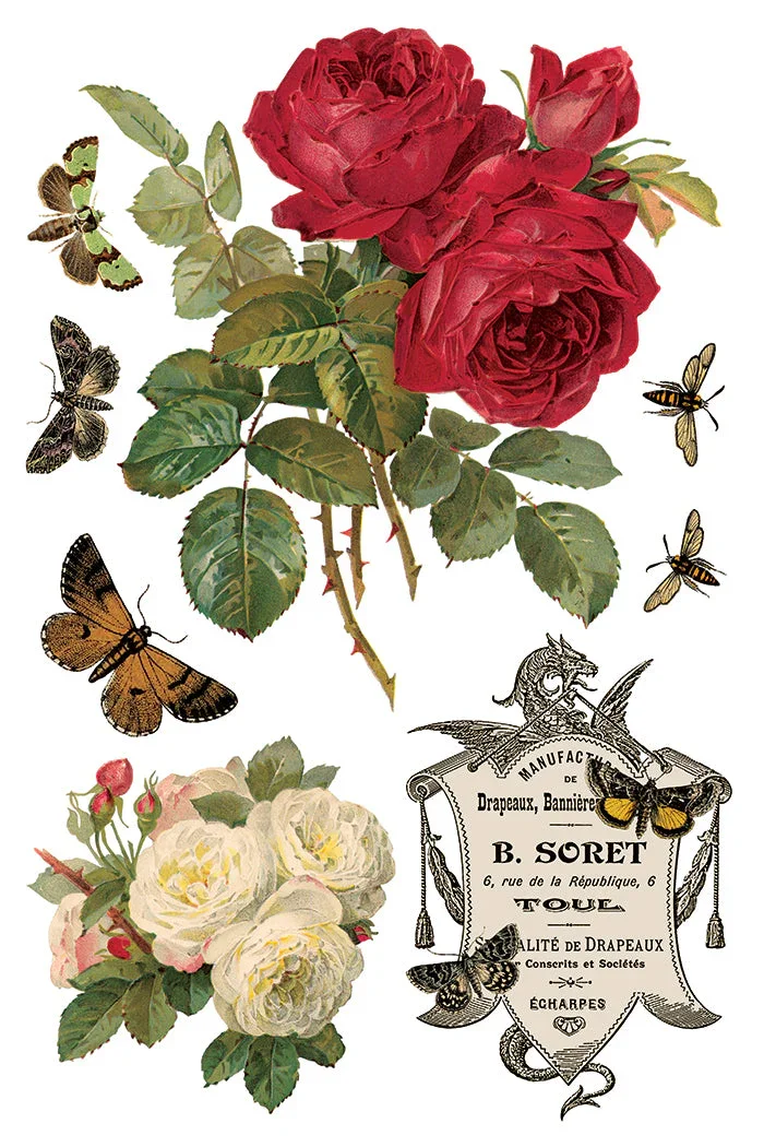 IOD-TRA-BYA_d.webp