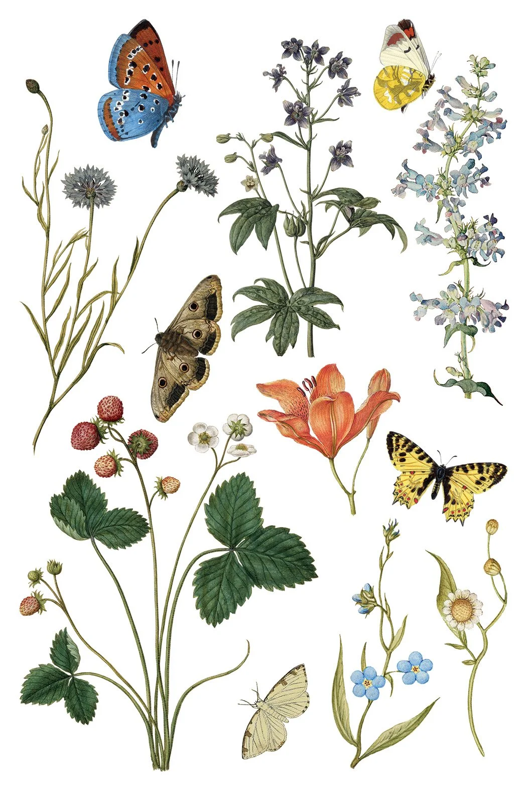 Copy of IOD-TRA-WBL WBLde Bloemen page 1 small.jpg