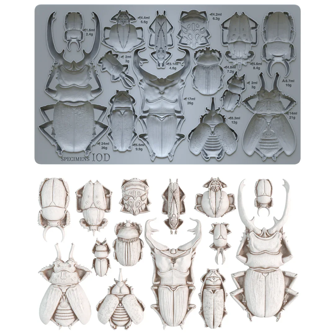 Specimens 6X10 IOD Mould