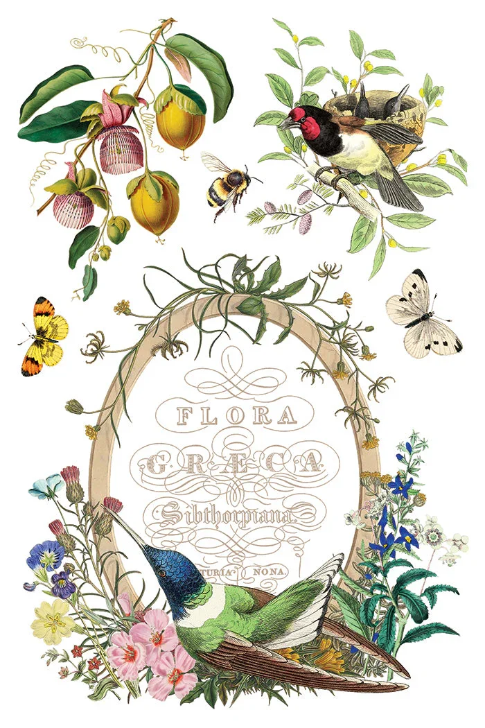 IOD-TRA-FLG_j.webp