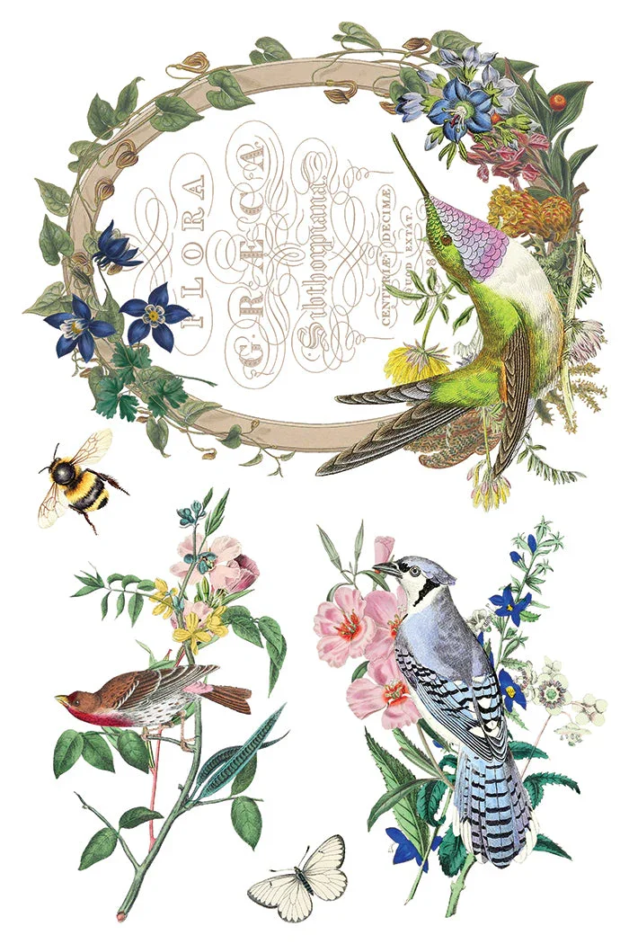 IOD-TRA-FLG_h.webp