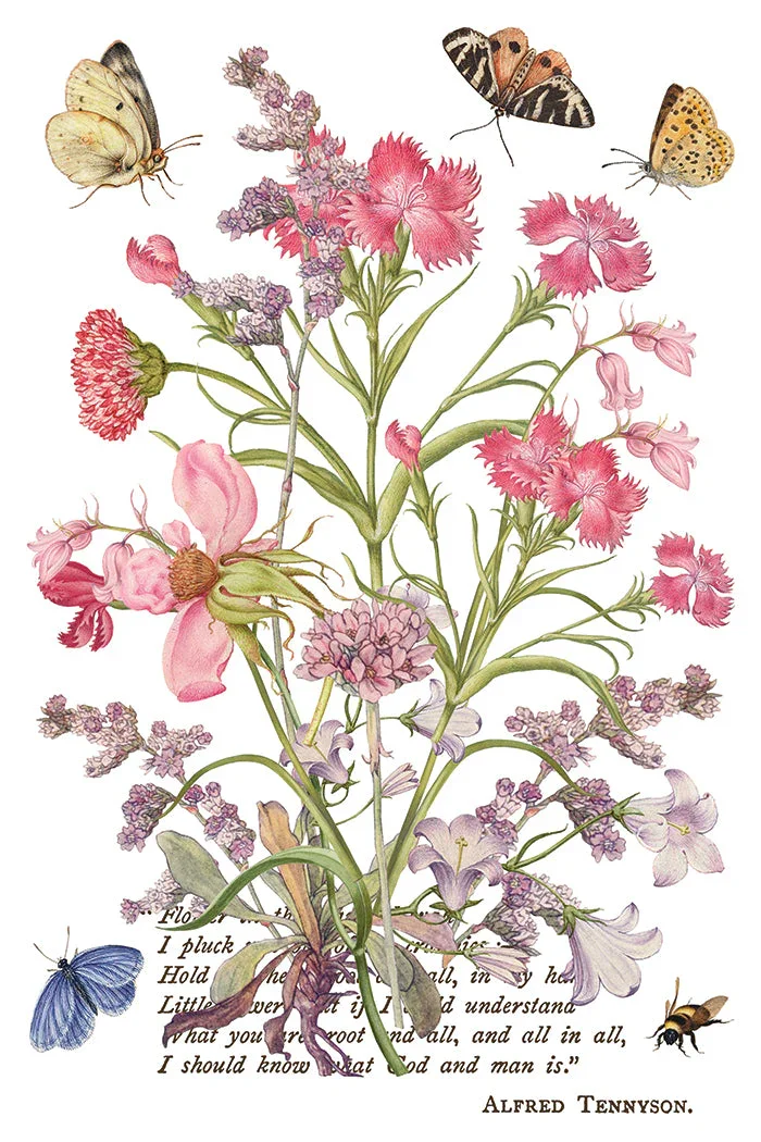 IOD-TRA-PRM_g.webp