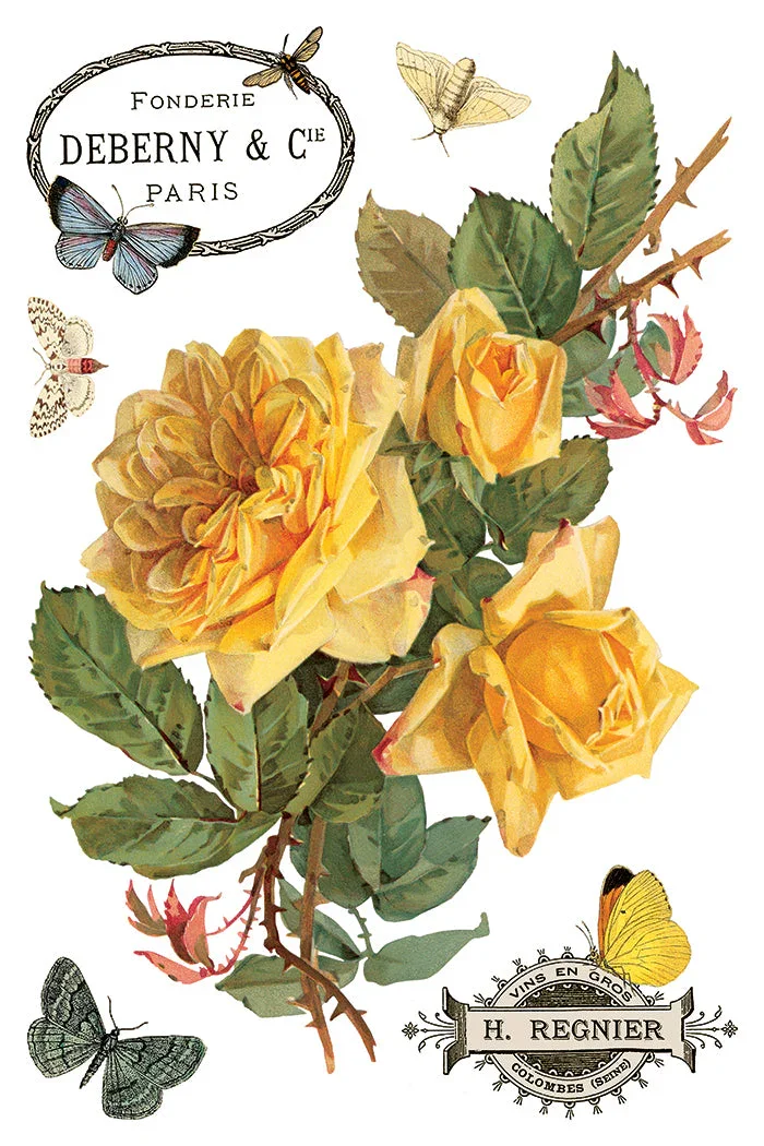 IOD-TRA-BYA_h.webp