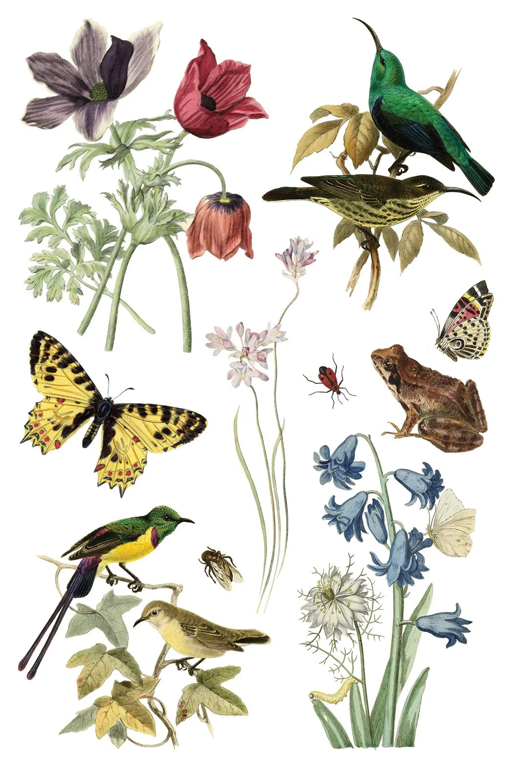 Copy of IOD-TRA-WBL WBLde Bloemen page 7 small.jpg