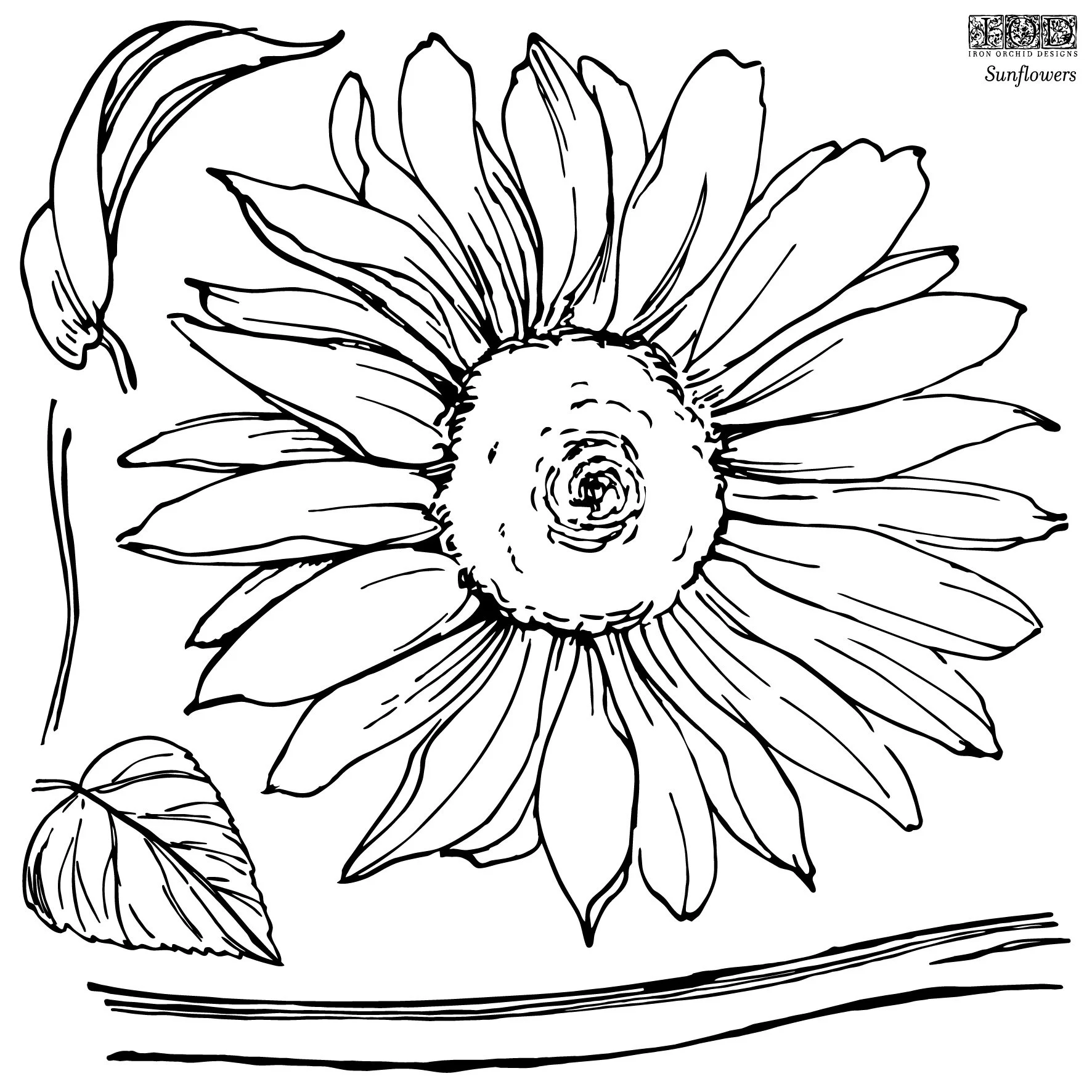 IOD-STA-SUN_a.jpg