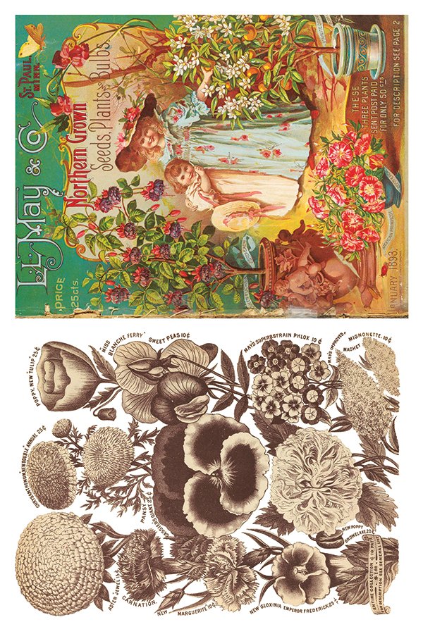 IOD-TRA-SEE page 6.jpg