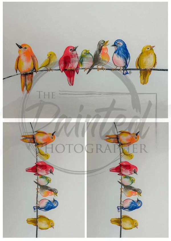 Multiple Feathered Friends - Connie's Rice Paper Retailers