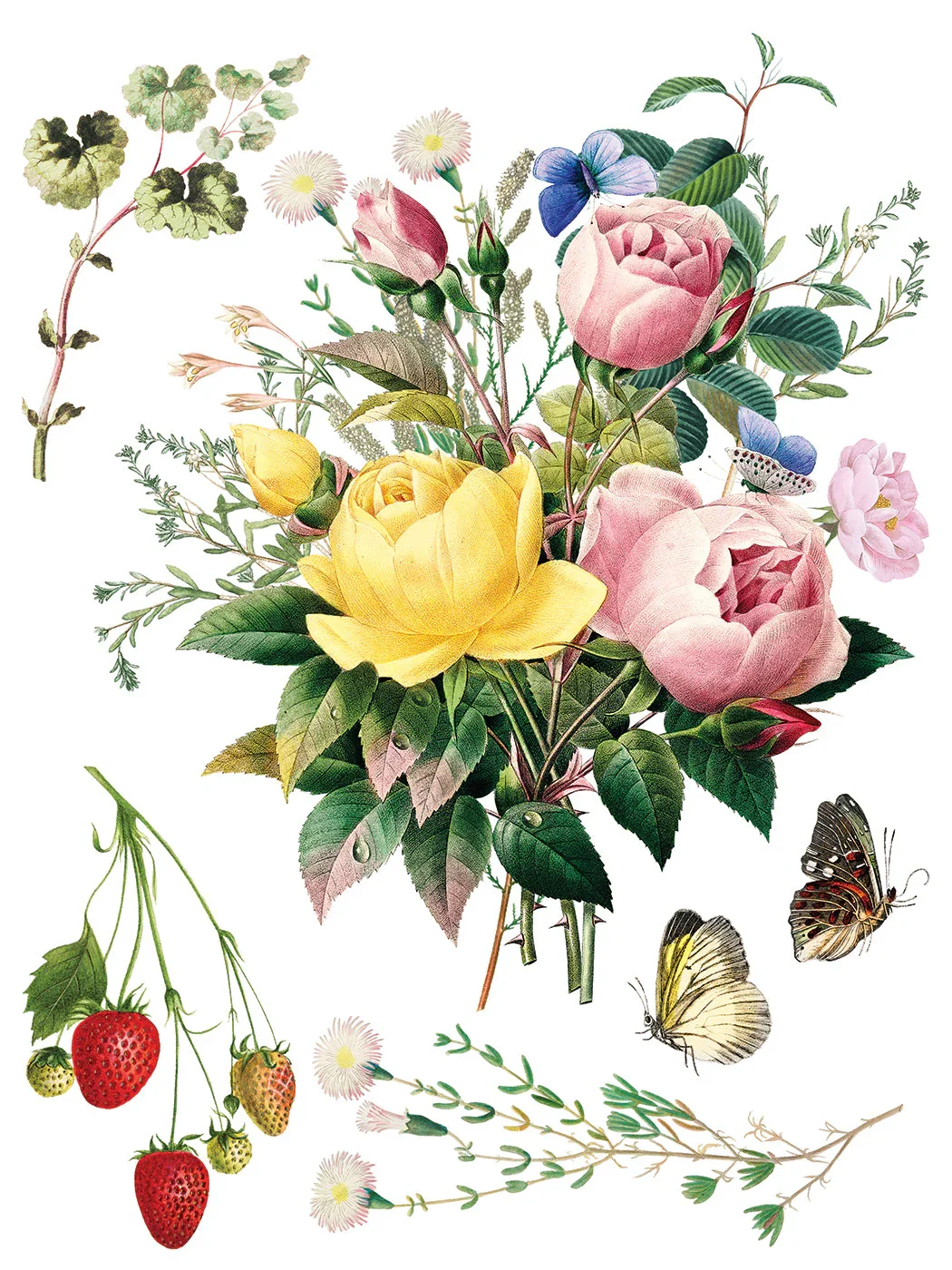IOD-TRA-MDF_j.webp