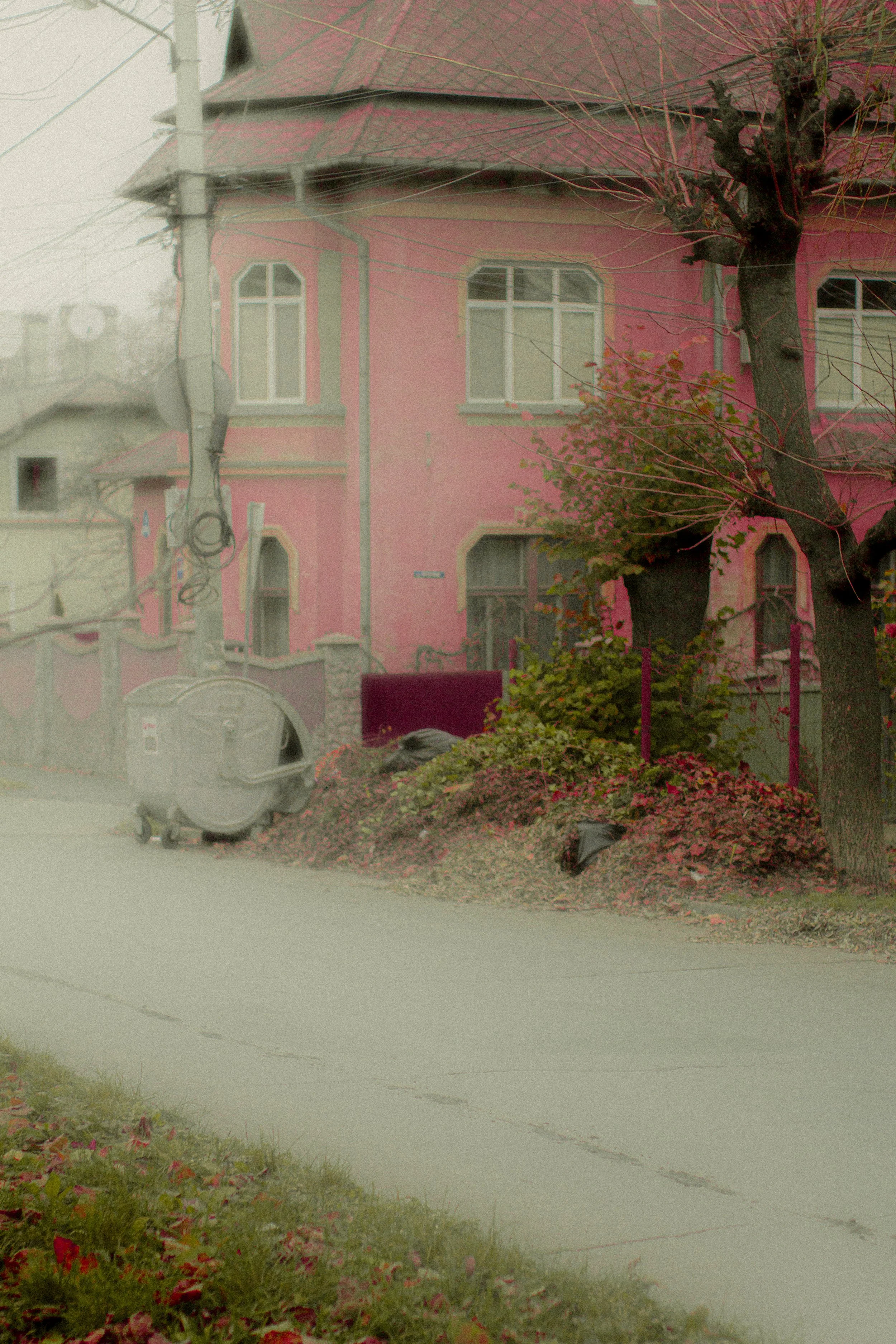 Canon EOS 550D 5184x3456_009223.jpg