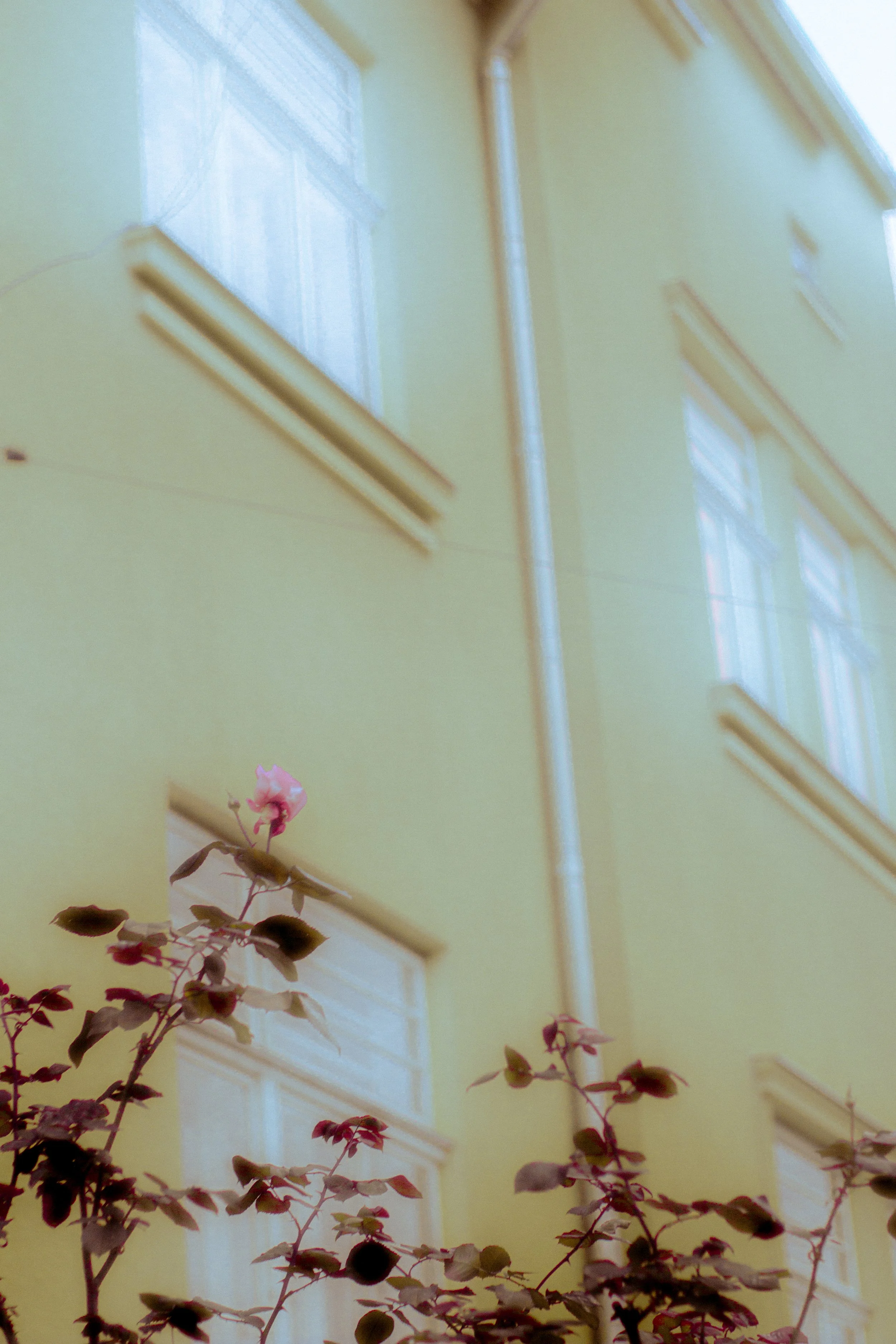 Canon EOS 550D 5184x3456_009227.jpg