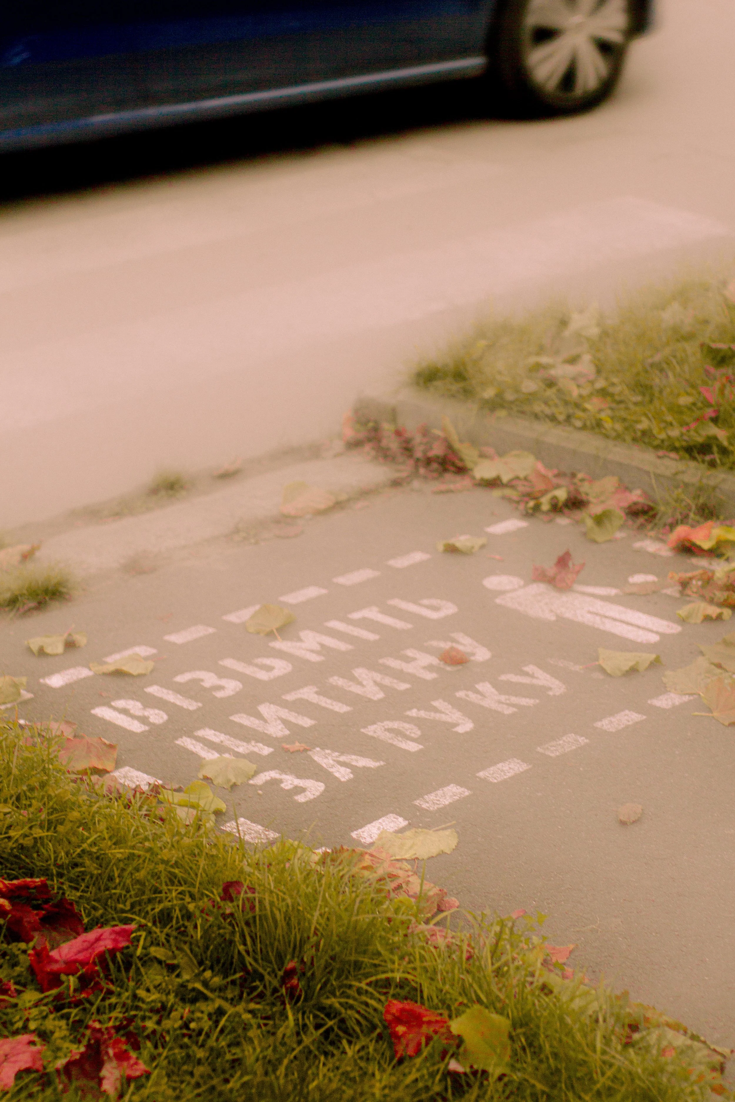 Canon EOS 550D 5184x3456_009234.jpg