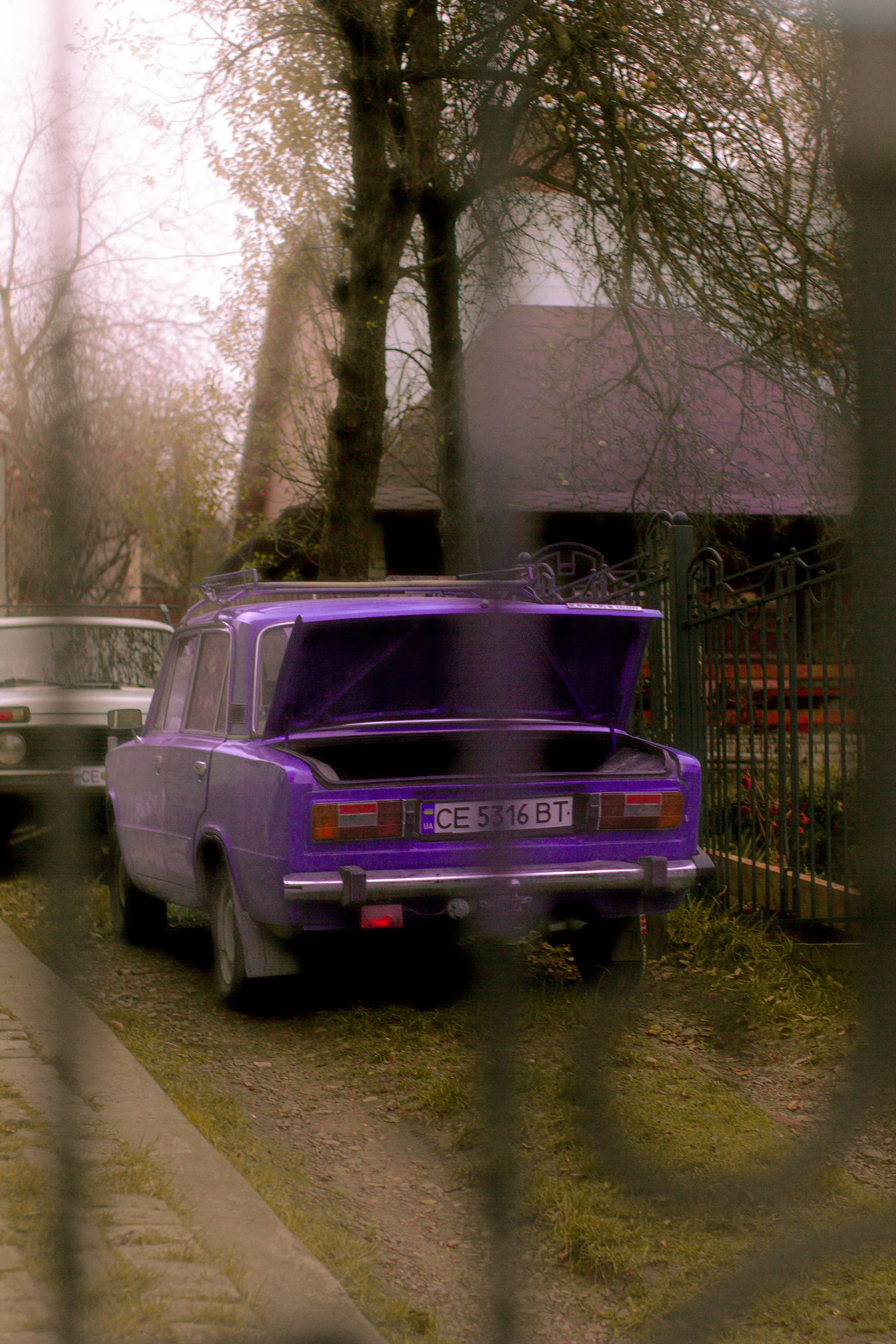 Canon EOS 550D 5184x3456_009231.jpg