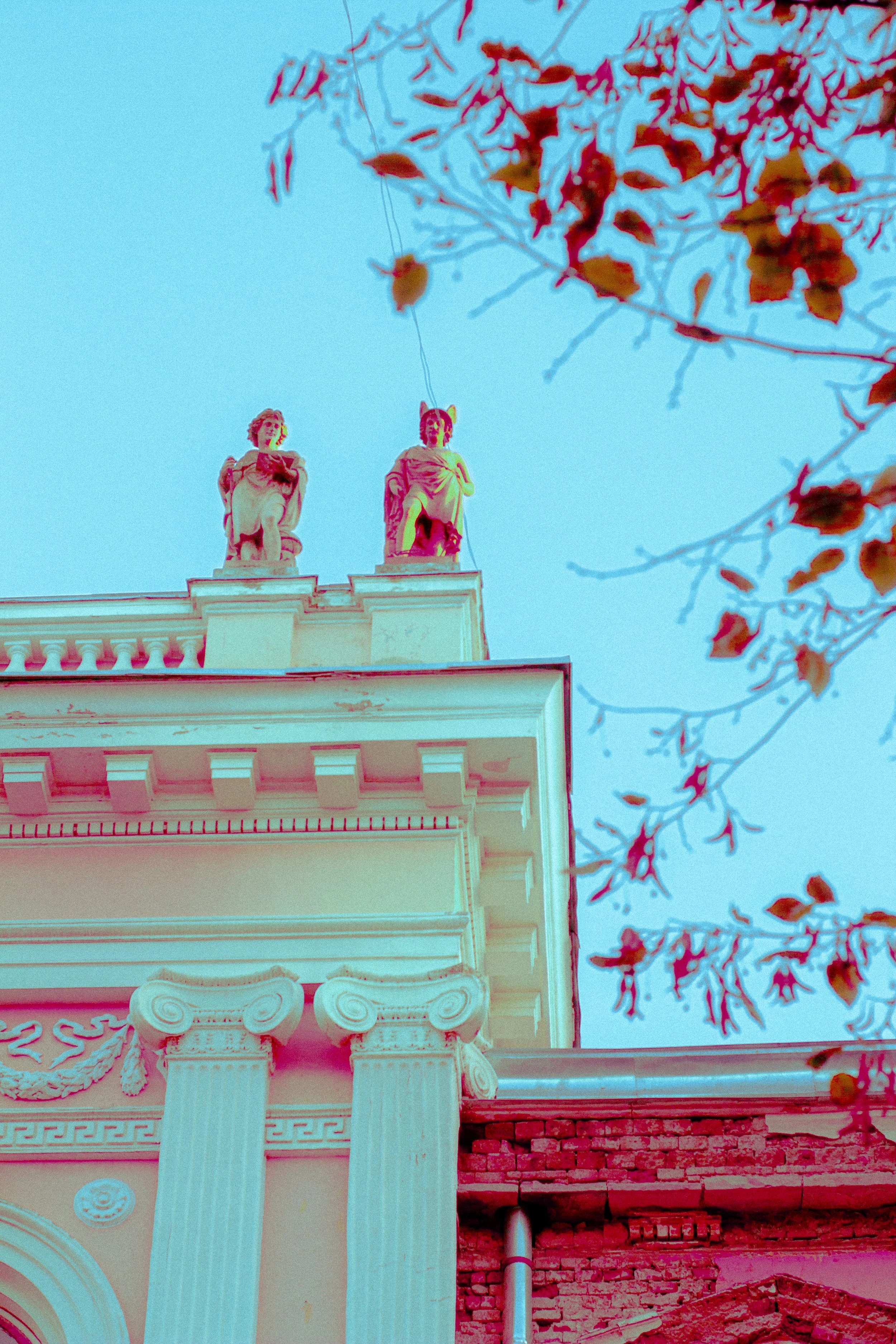 Canon EOS 550D 5184x3456_009286.jpg