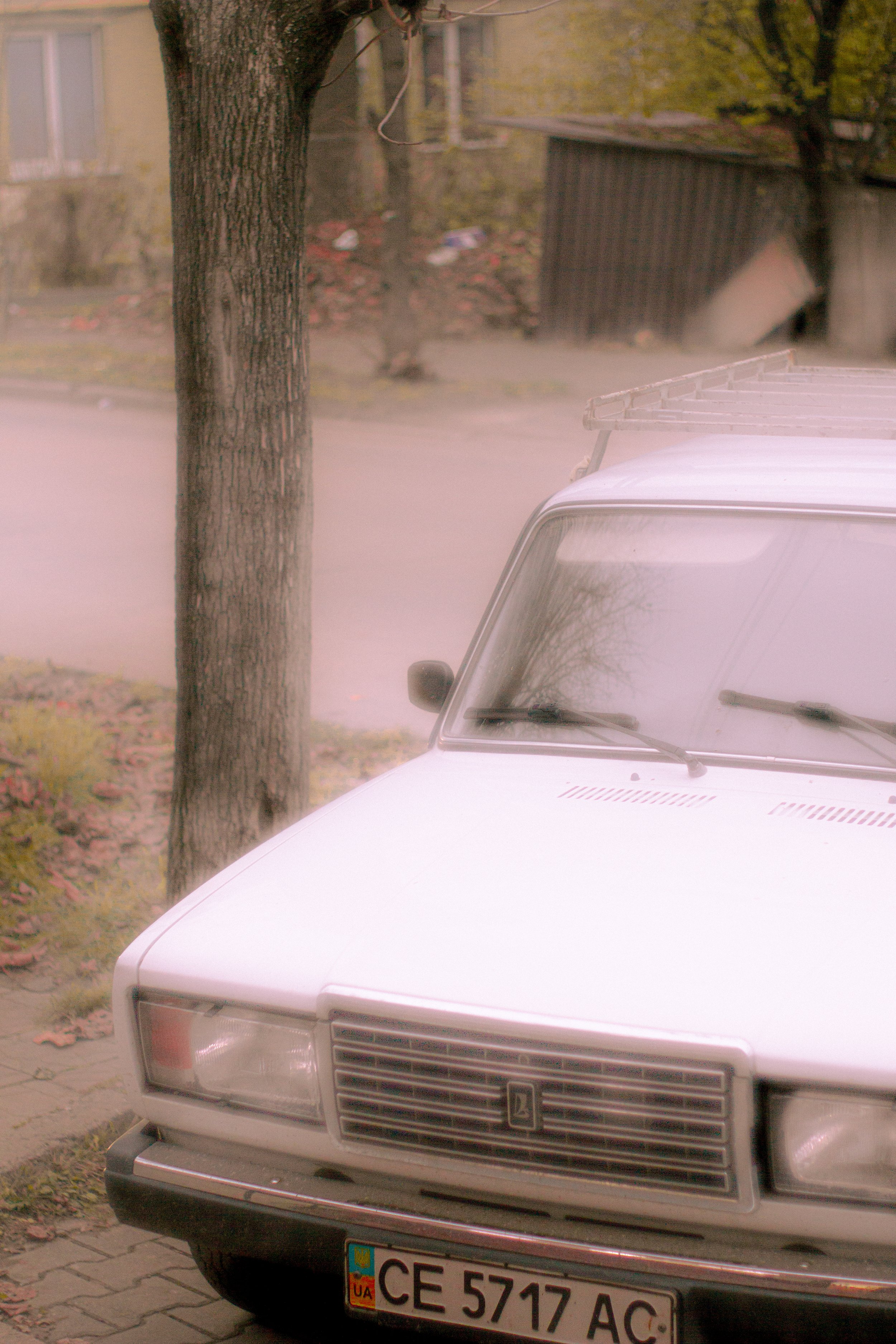 Canon EOS 550D 5184x3456_009248.jpg