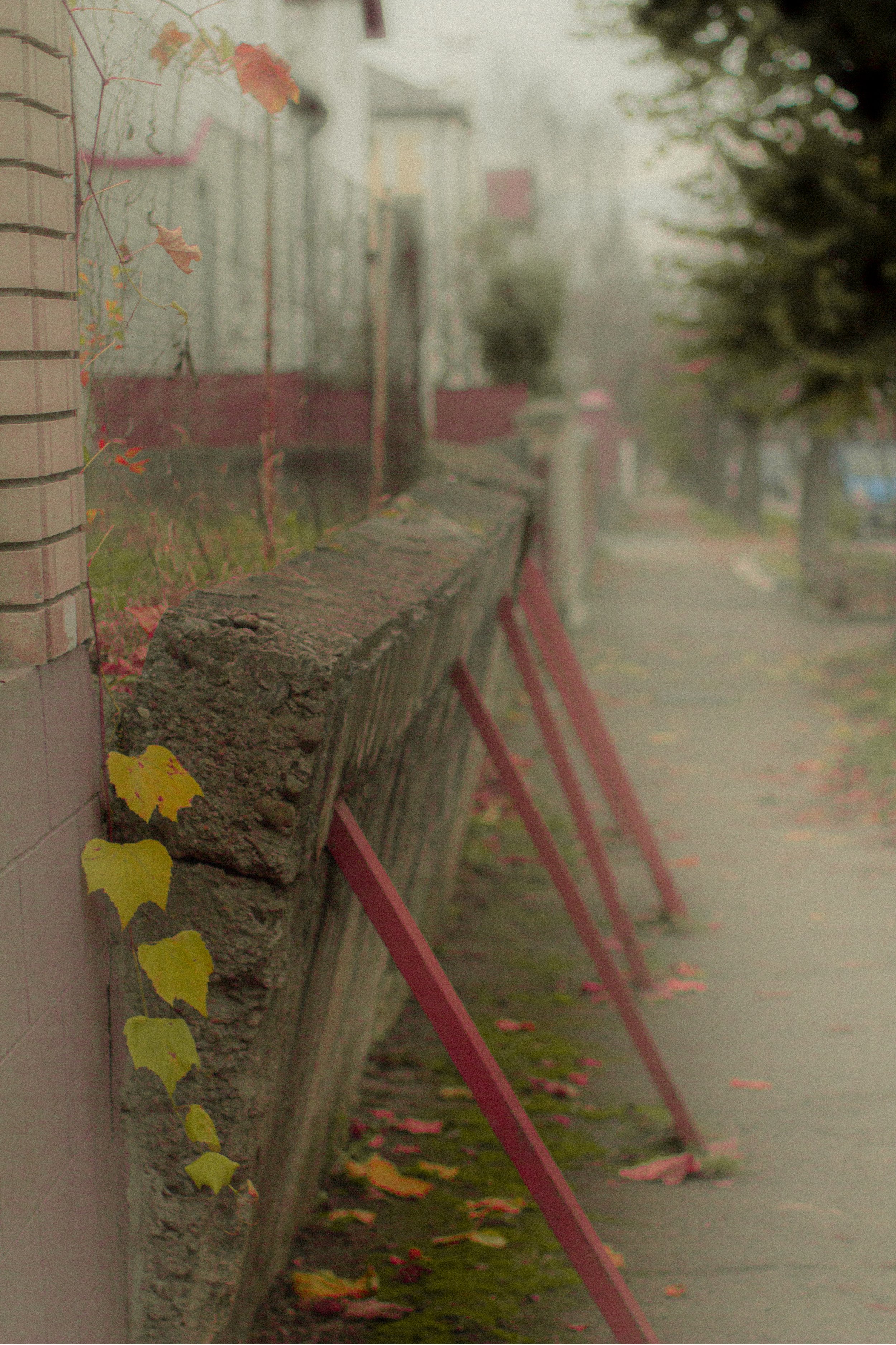 Canon EOS 550D 5184x3456_009216.jpg