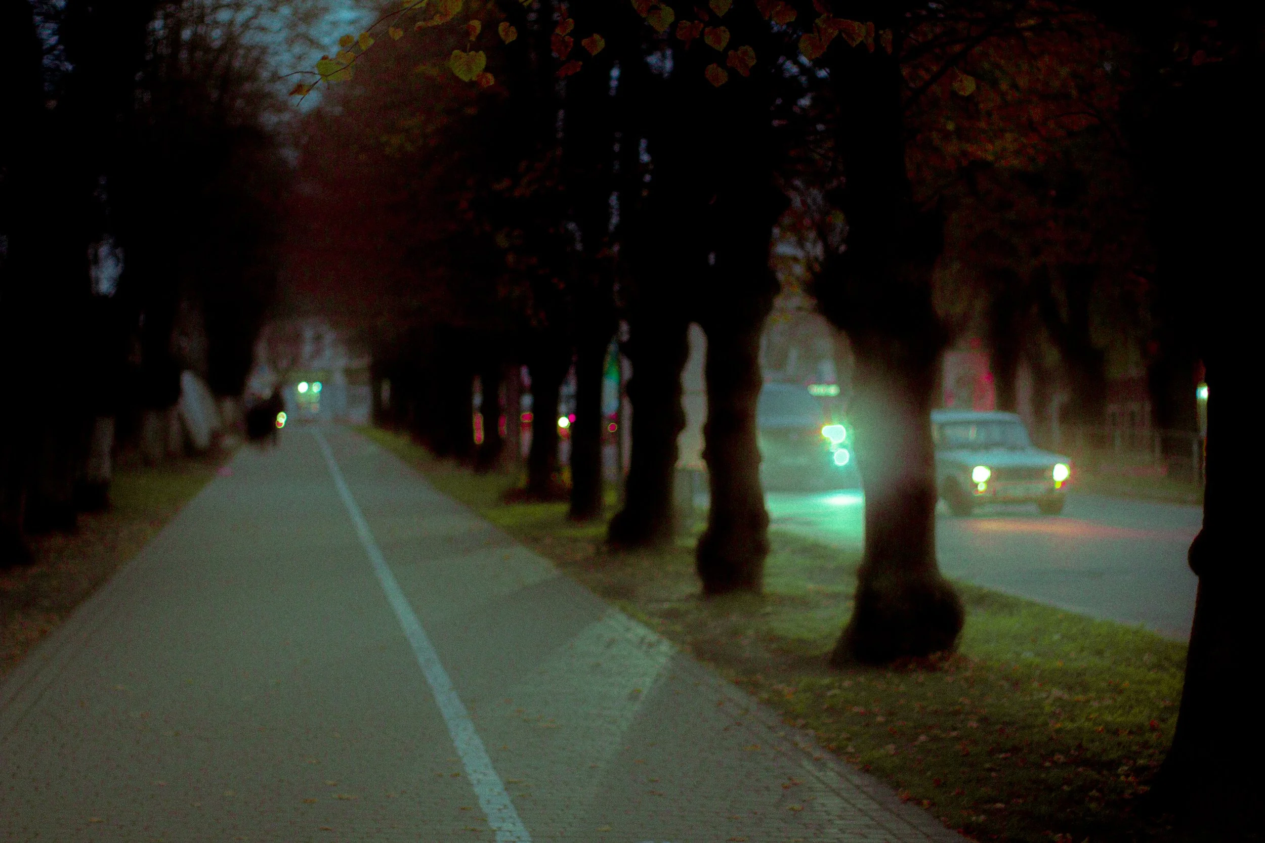 Canon EOS 550D 5184x3456_009265.jpg