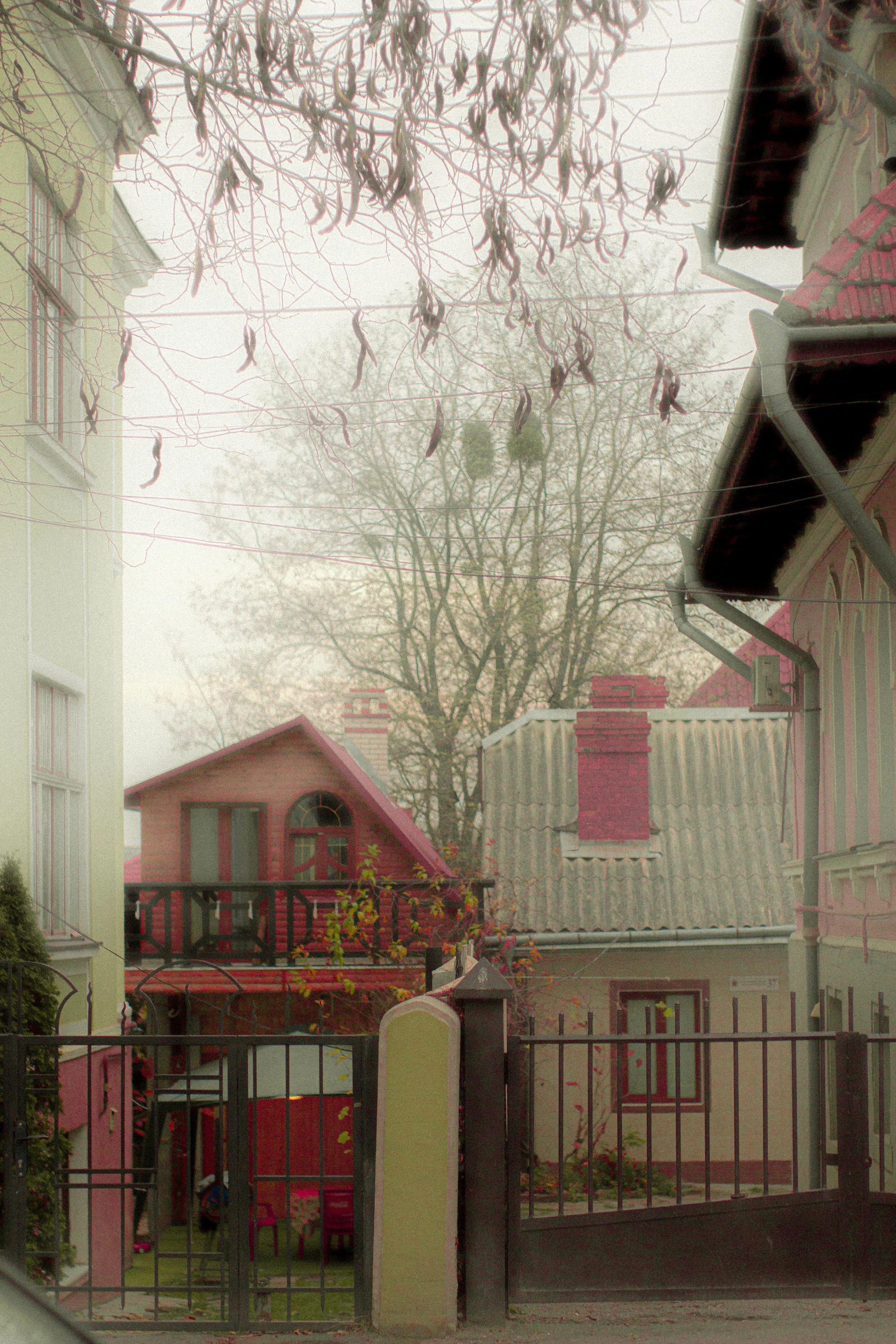 Canon EOS 550D 5184x3456_009221.jpg