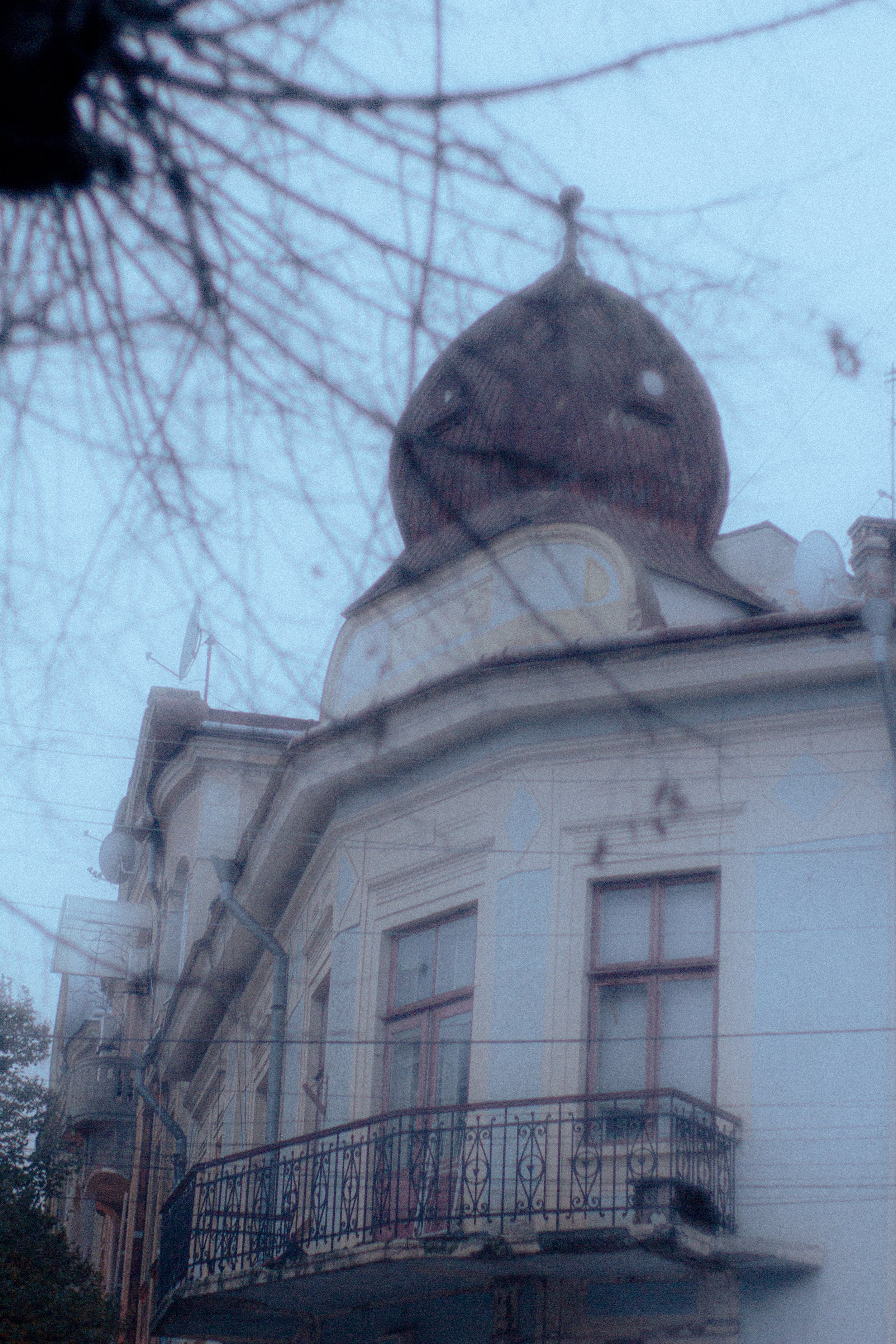 Canon EOS 550D 5184x3456_009274.jpg