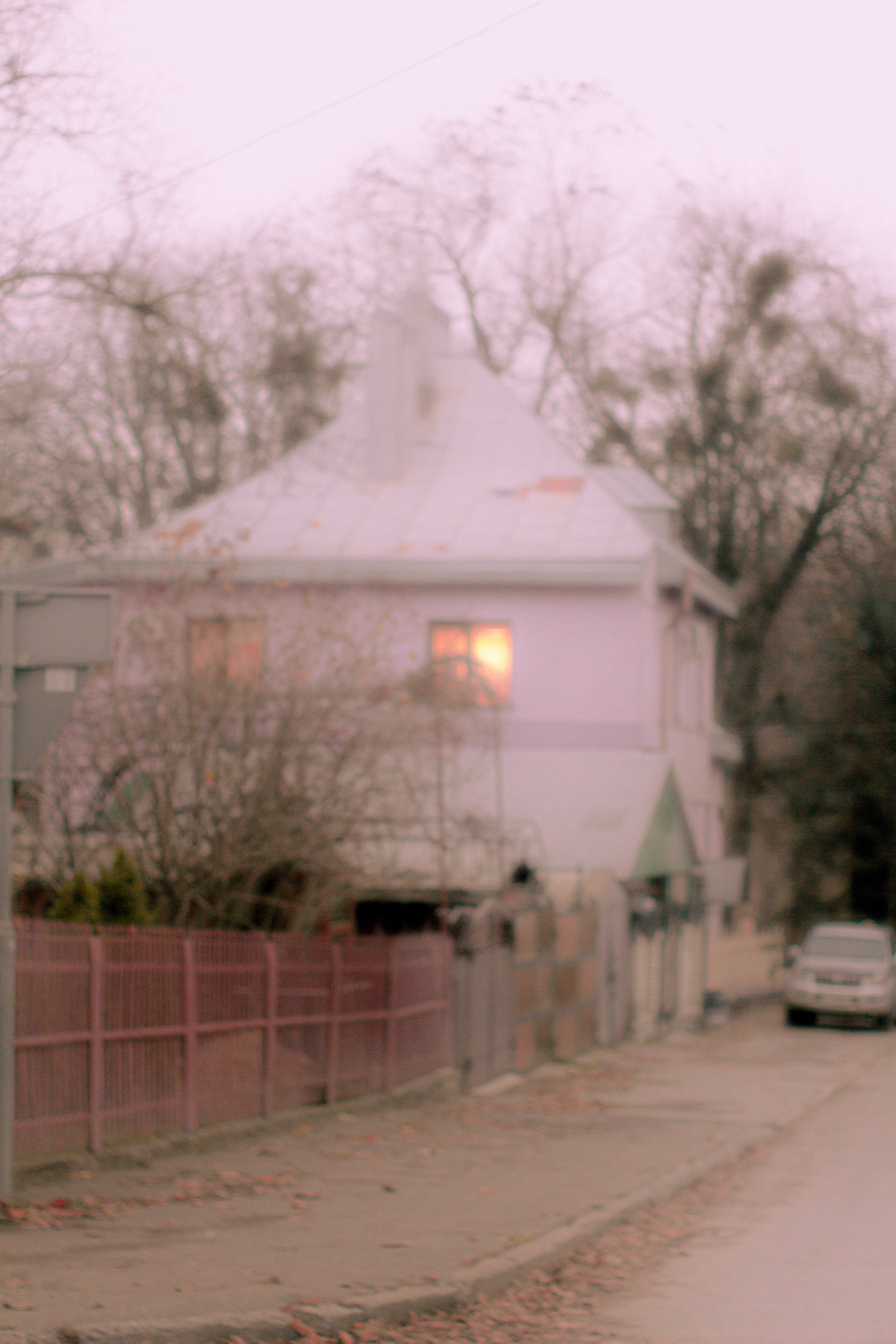 Canon EOS 550D 5184x3456_009247.jpg