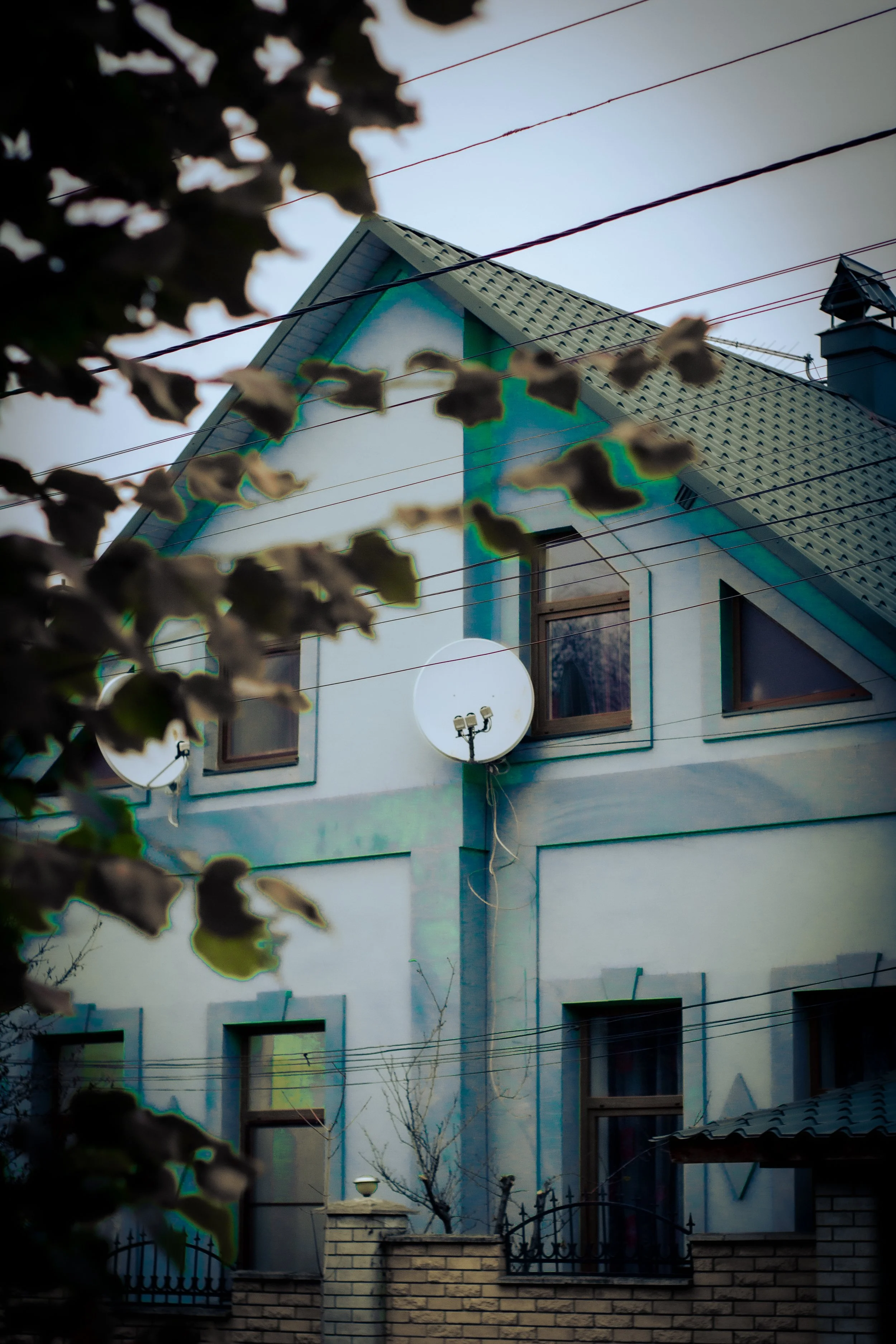 Canon EOS 550D 5184x3456_009214.jpg