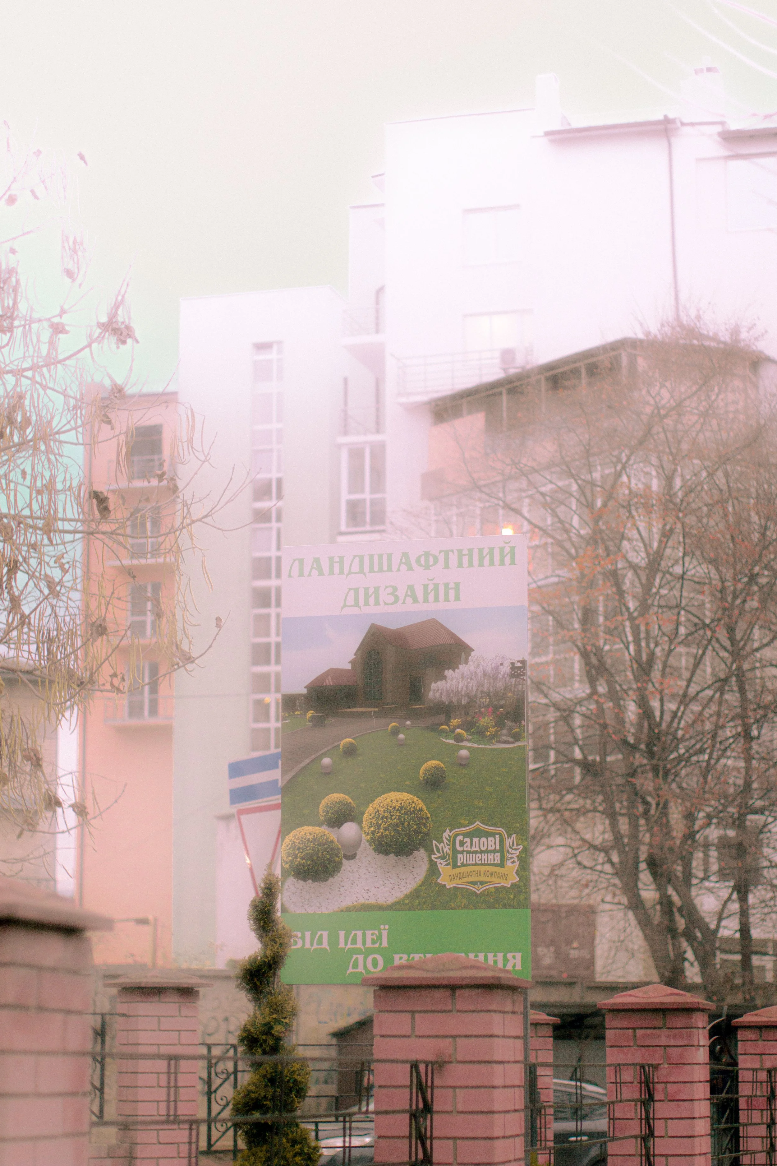 Canon EOS 550D 5184x3456_009243.jpg