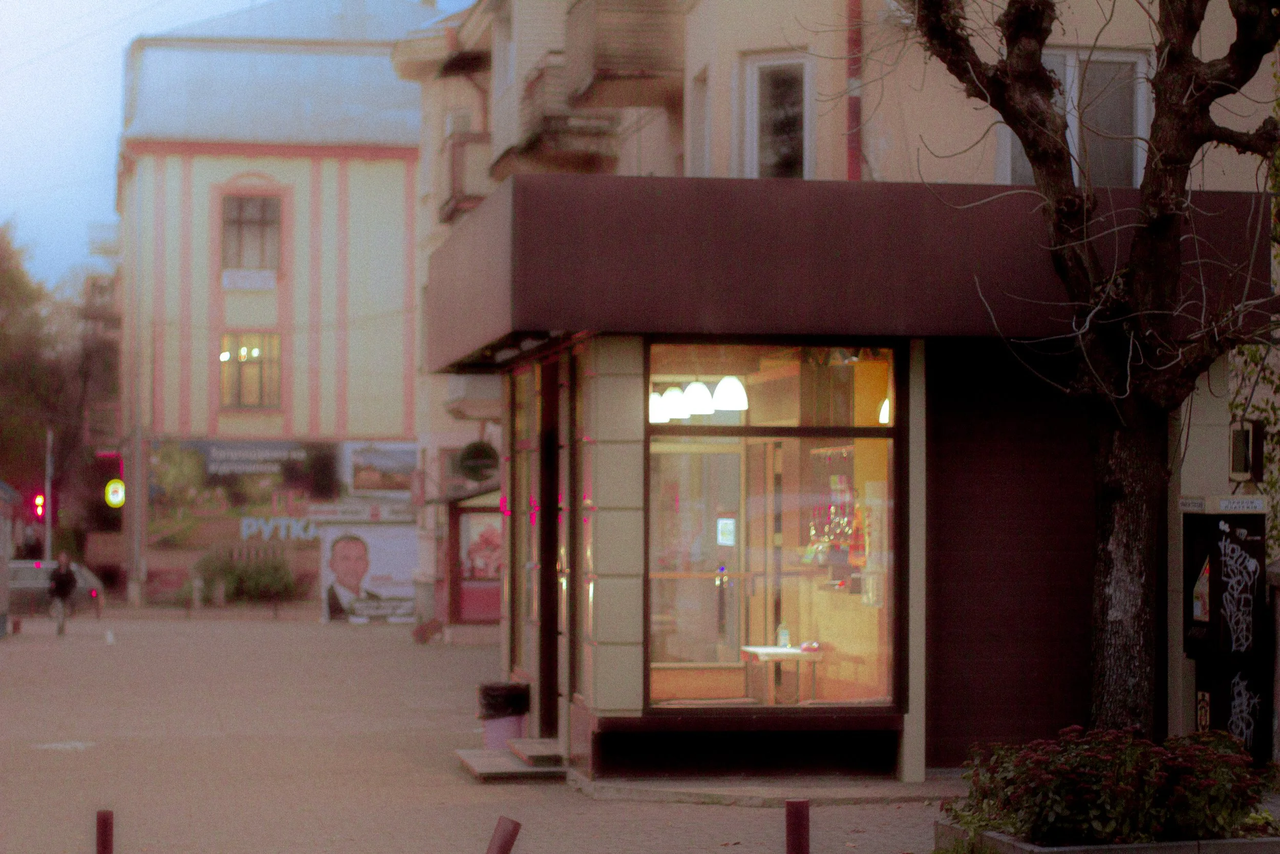 Canon EOS 550D 5184x3456_009255.jpg