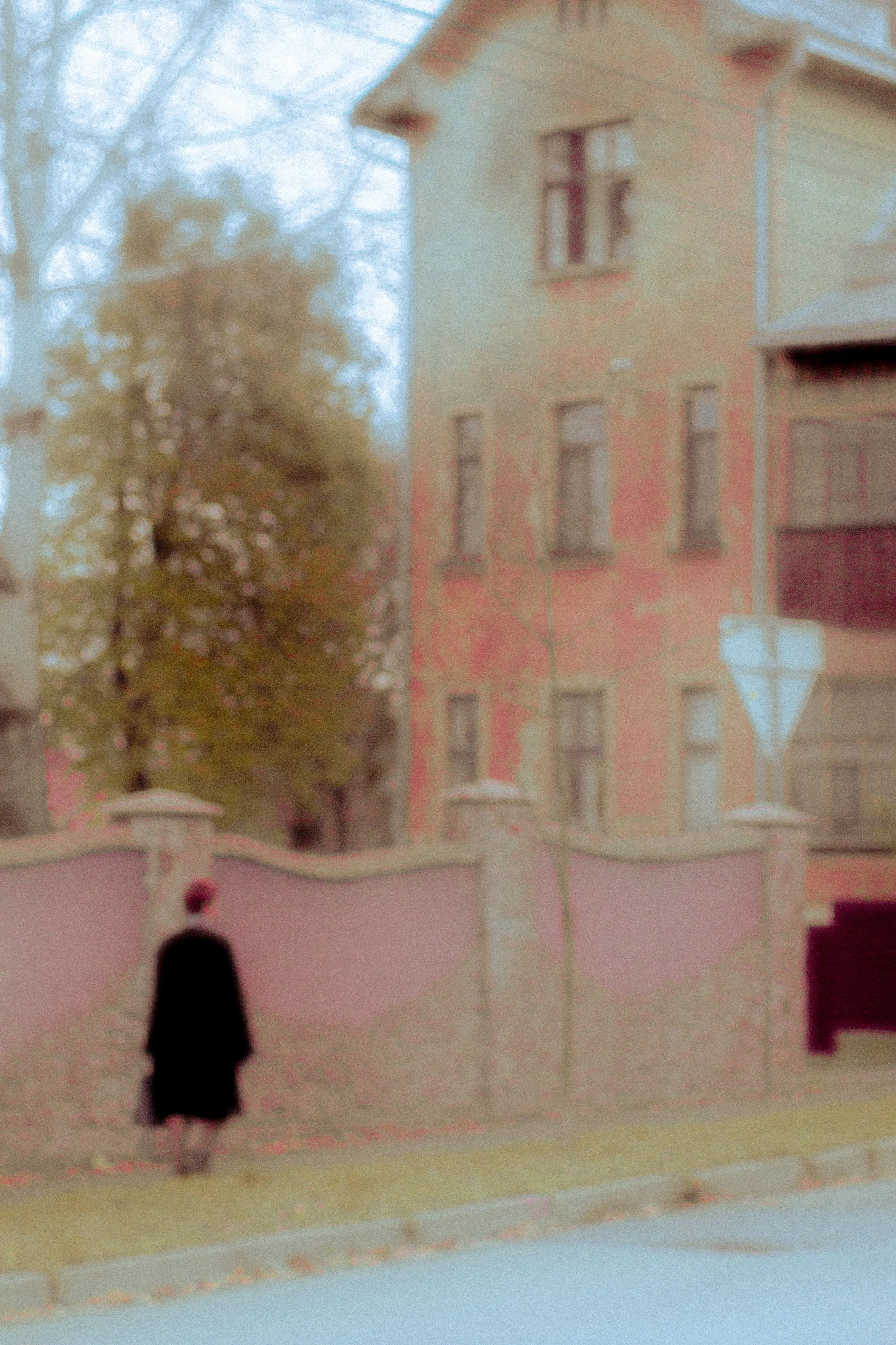 Canon EOS 550D 5184x3456_009225.jpg