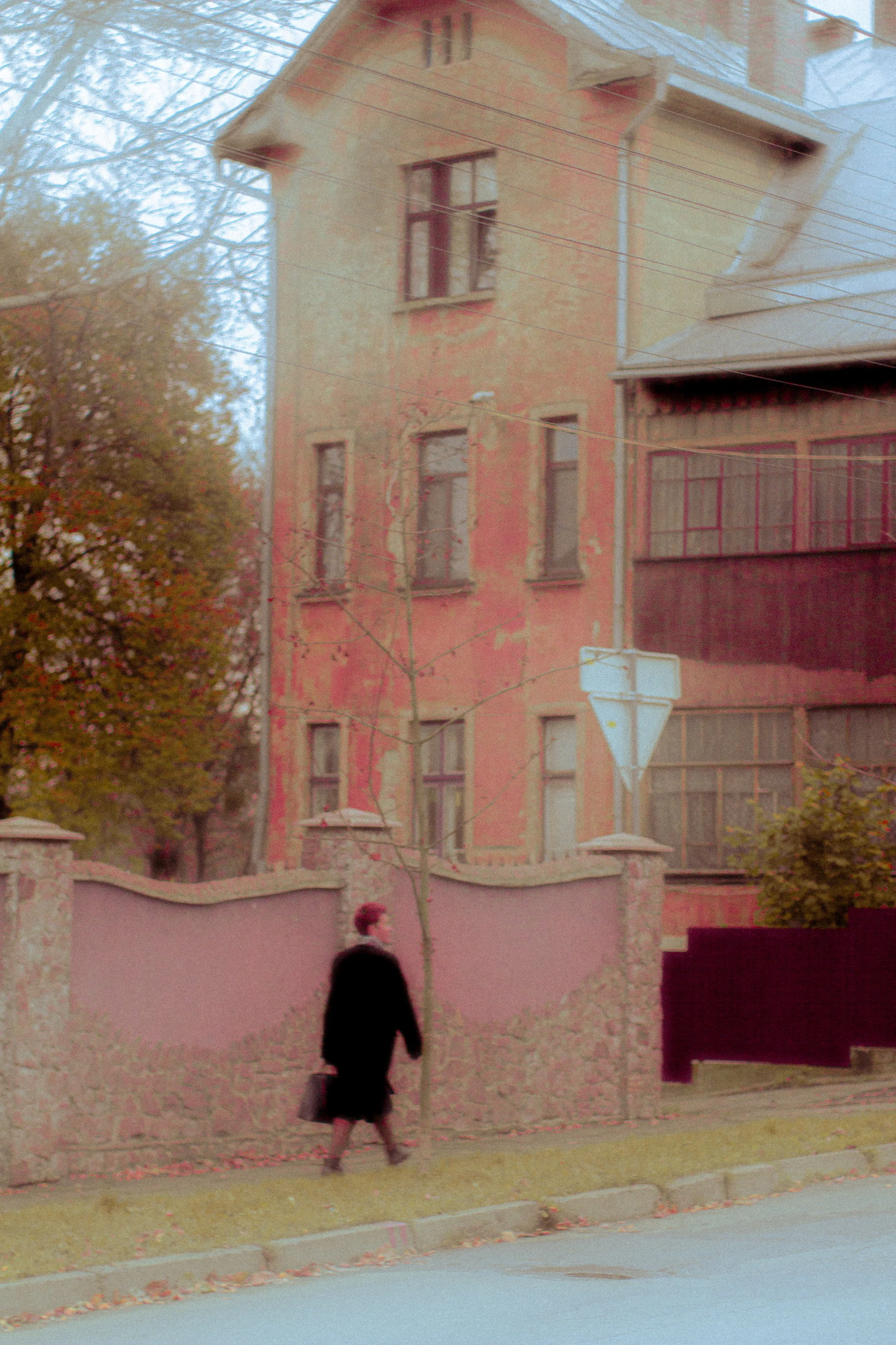 Canon EOS 550D 5184x3456_009226.jpg