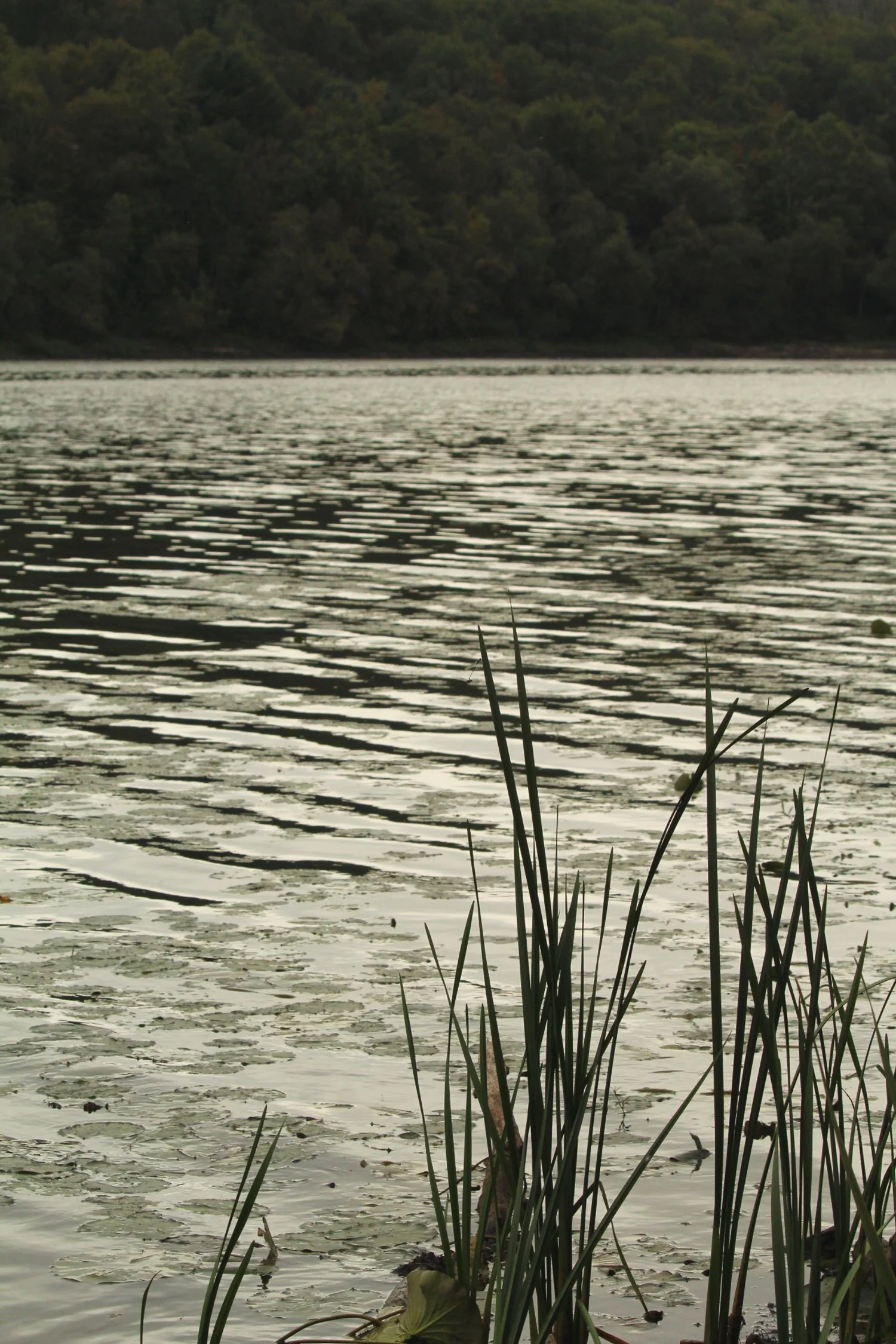 IMG_9877.png