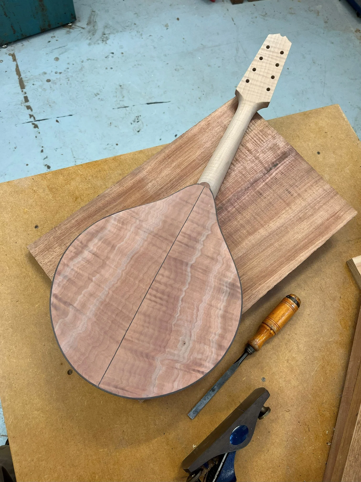 Mandolin Back Tasmanian Myrtle