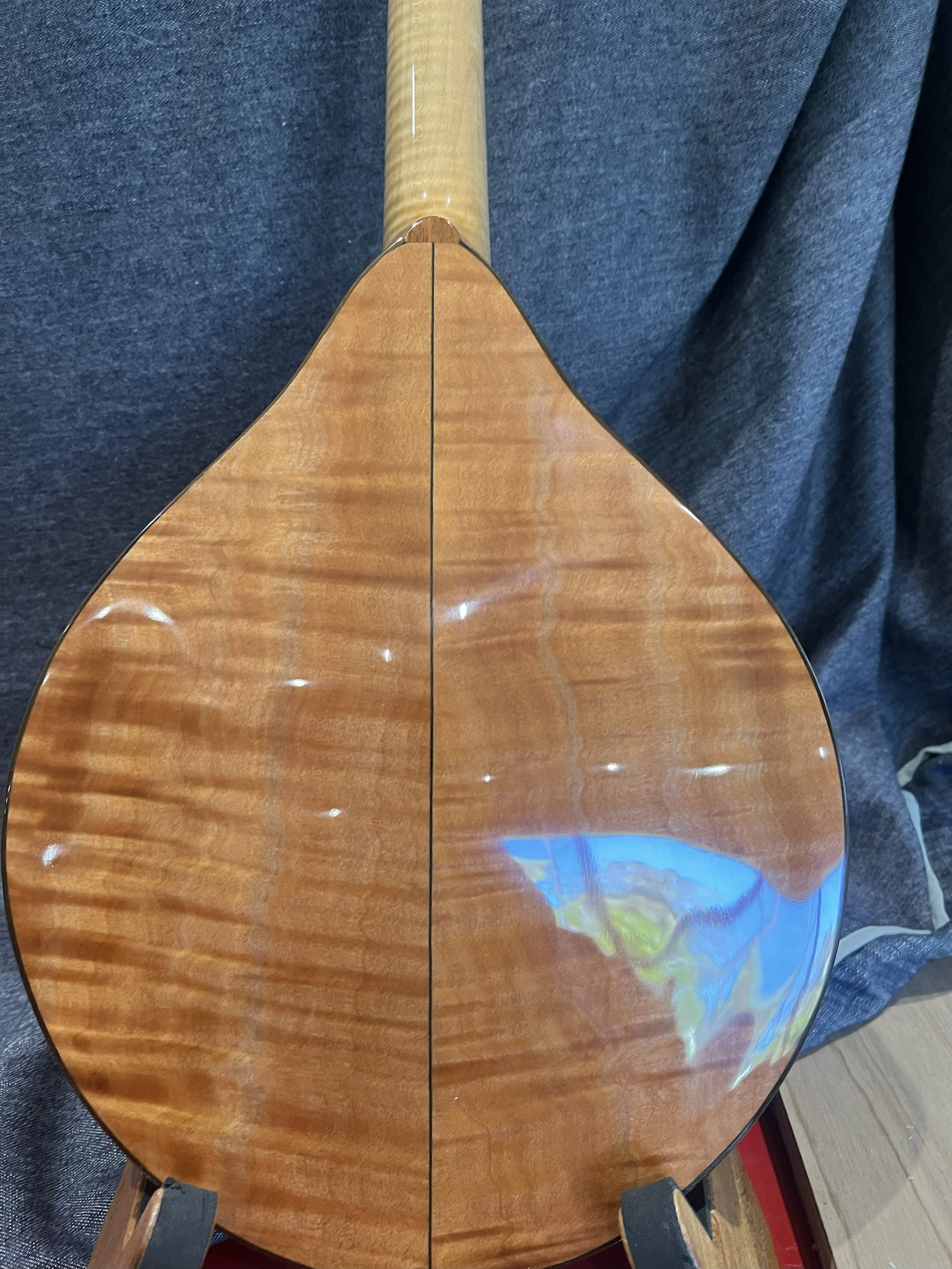Finished Tasmanian Myrtle Mandolin Back