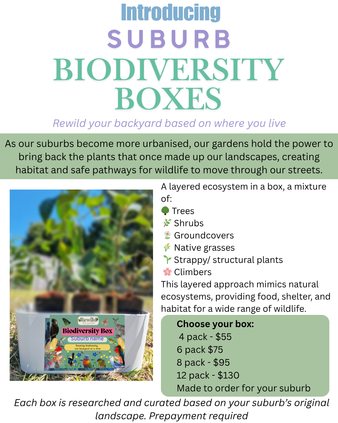 %F0%9F%8C%BF+Introducing+SUBURB+BIODIVERSITY+BOXES+Rewild+your+backyard+based+on+where+you+live+%F0%9F%90%9D%F0%9F%90%A6%F0%9F%A6%8B.png