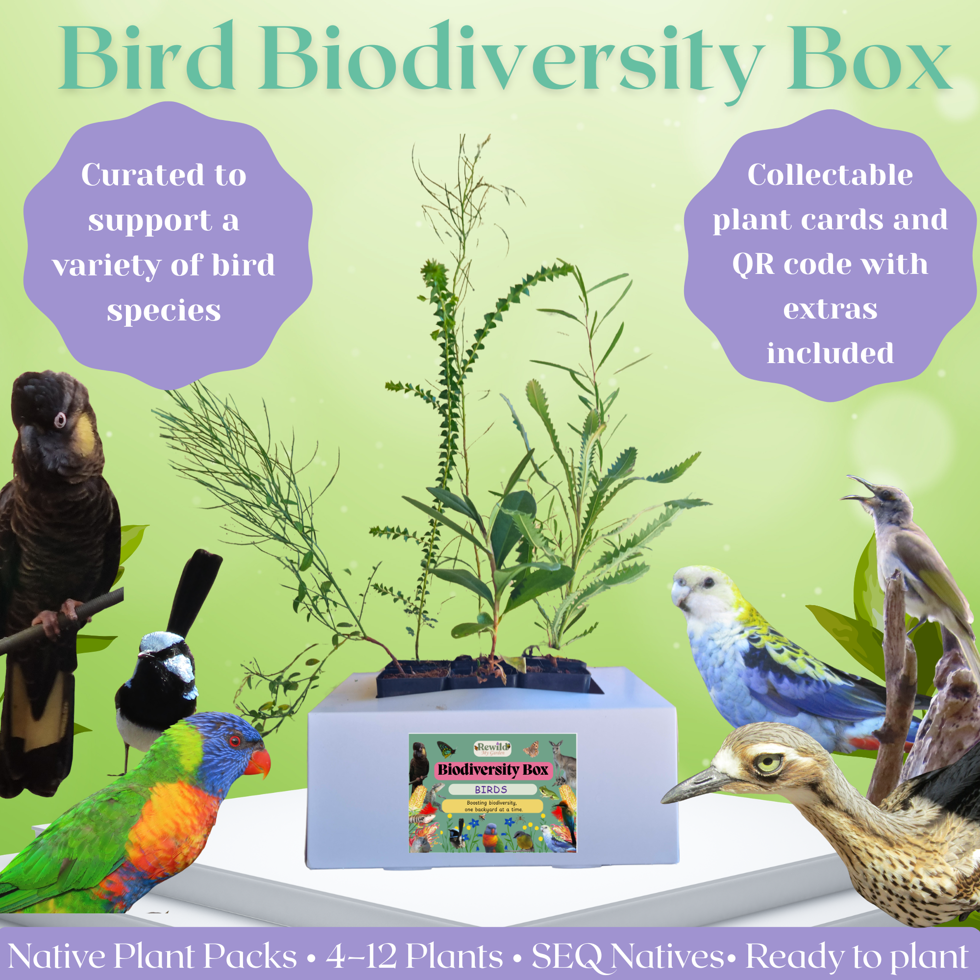 Bird Biodiversity Box – 4, 6 or 12 pack of Native Plants to Attract Birds