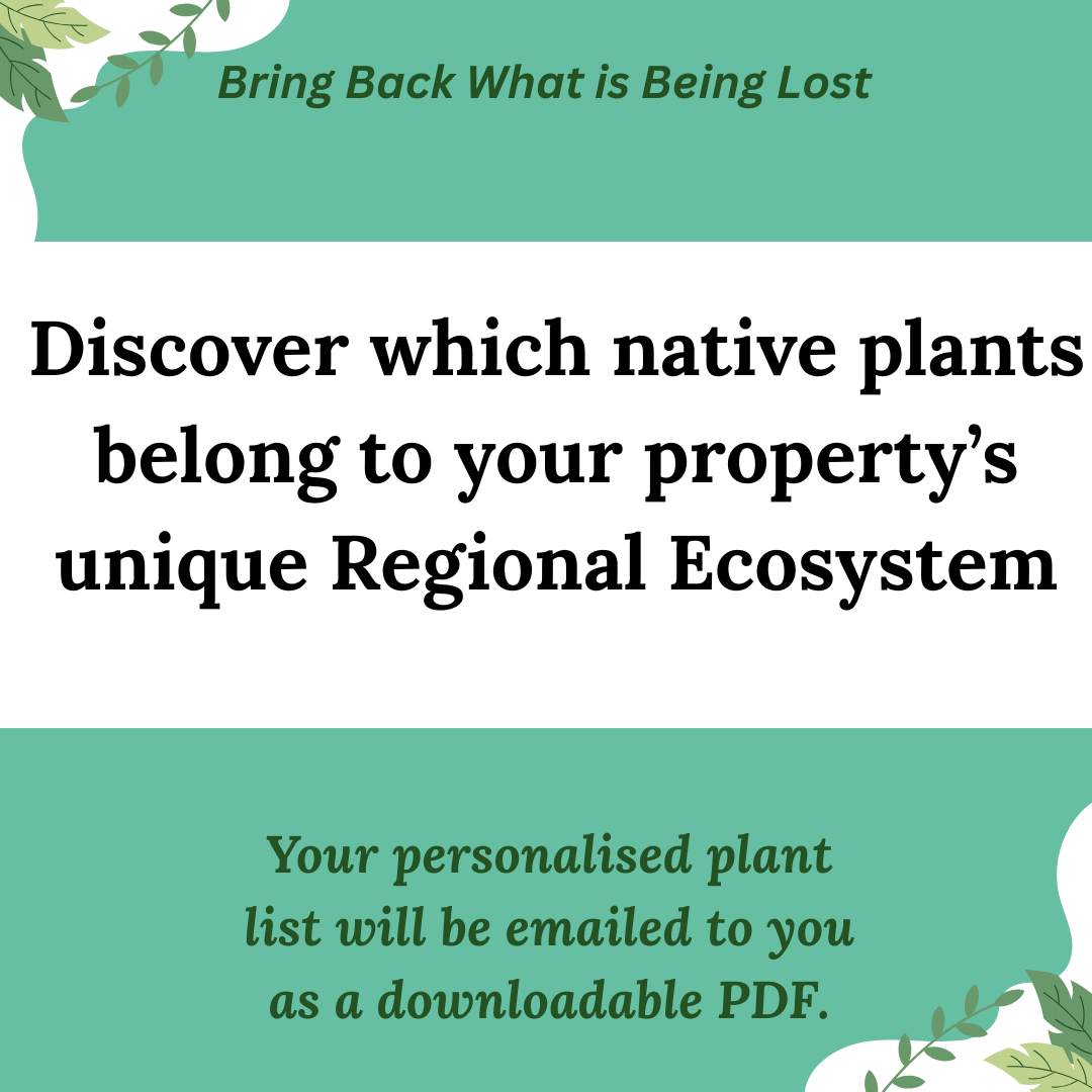 Regional Ecosystem Plant List – Rewilding Guide- SEQ residents only