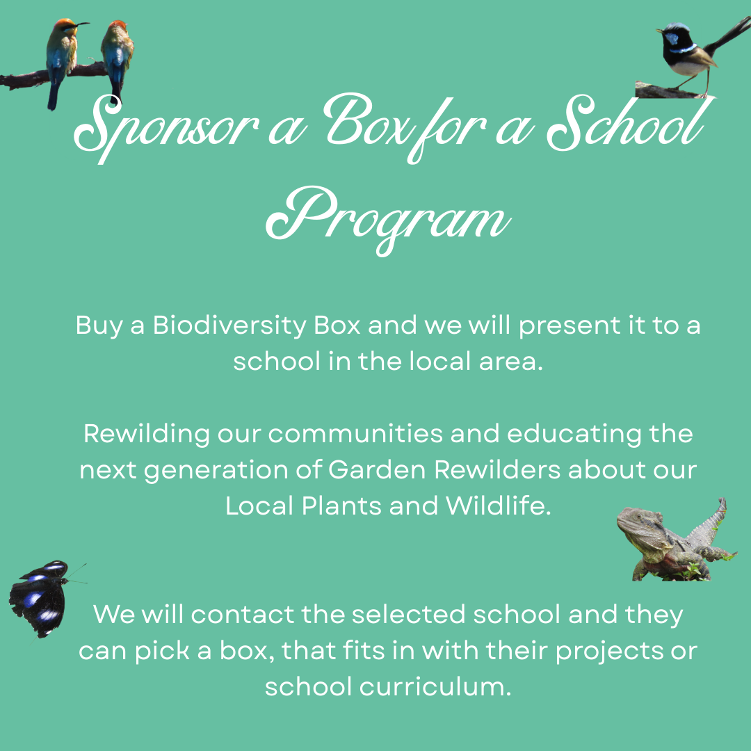 Sponsor a Box for a School