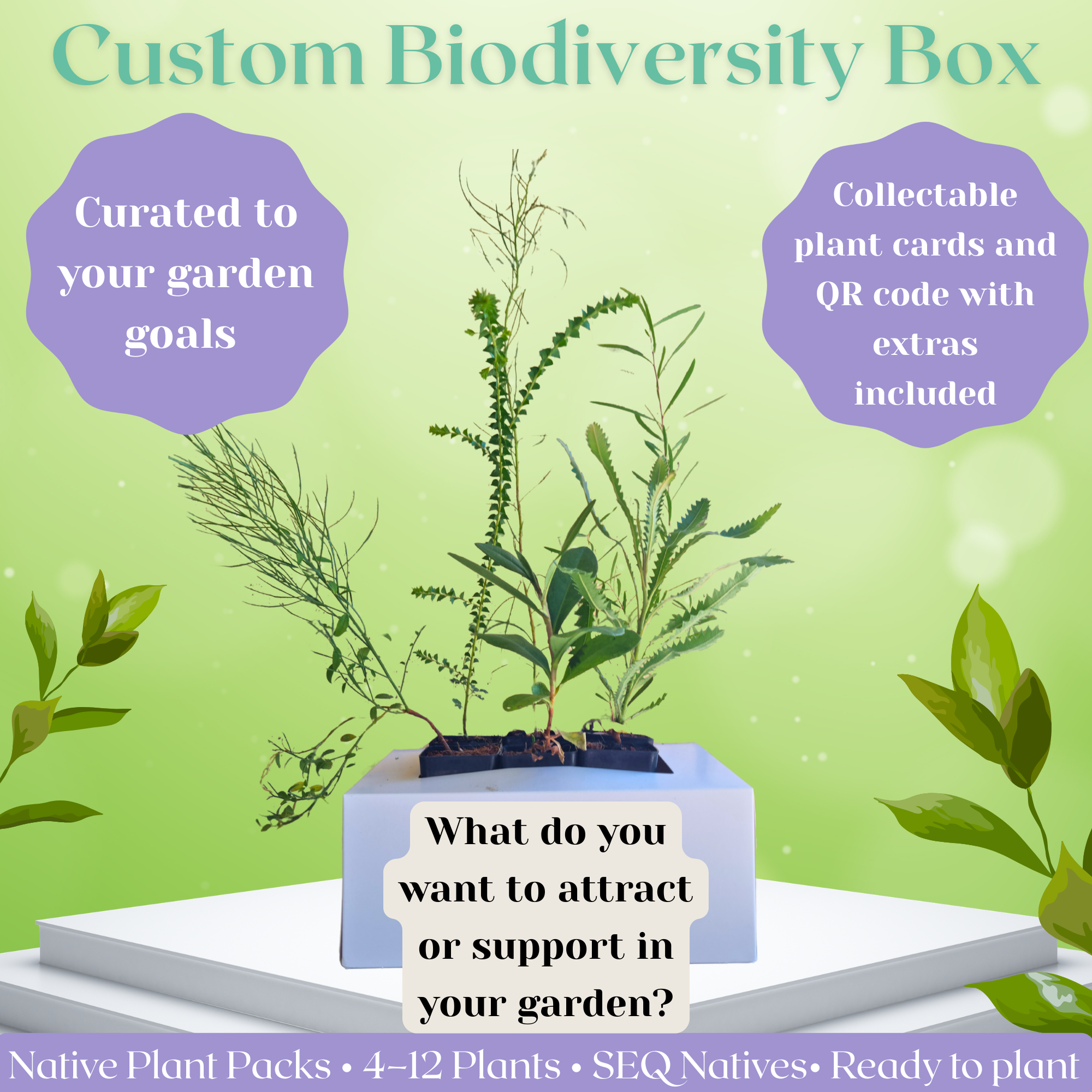 Custom Biodiversity Box- 4,6, or 12 pack of native plants tailored to your garden