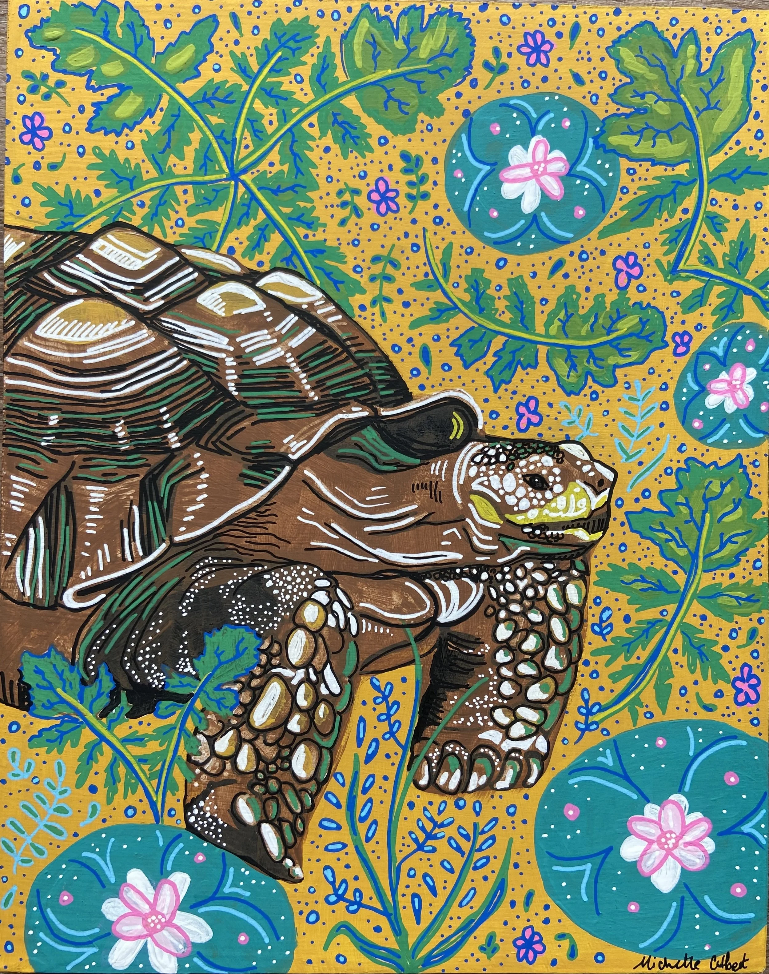 Tortoise2.jpg