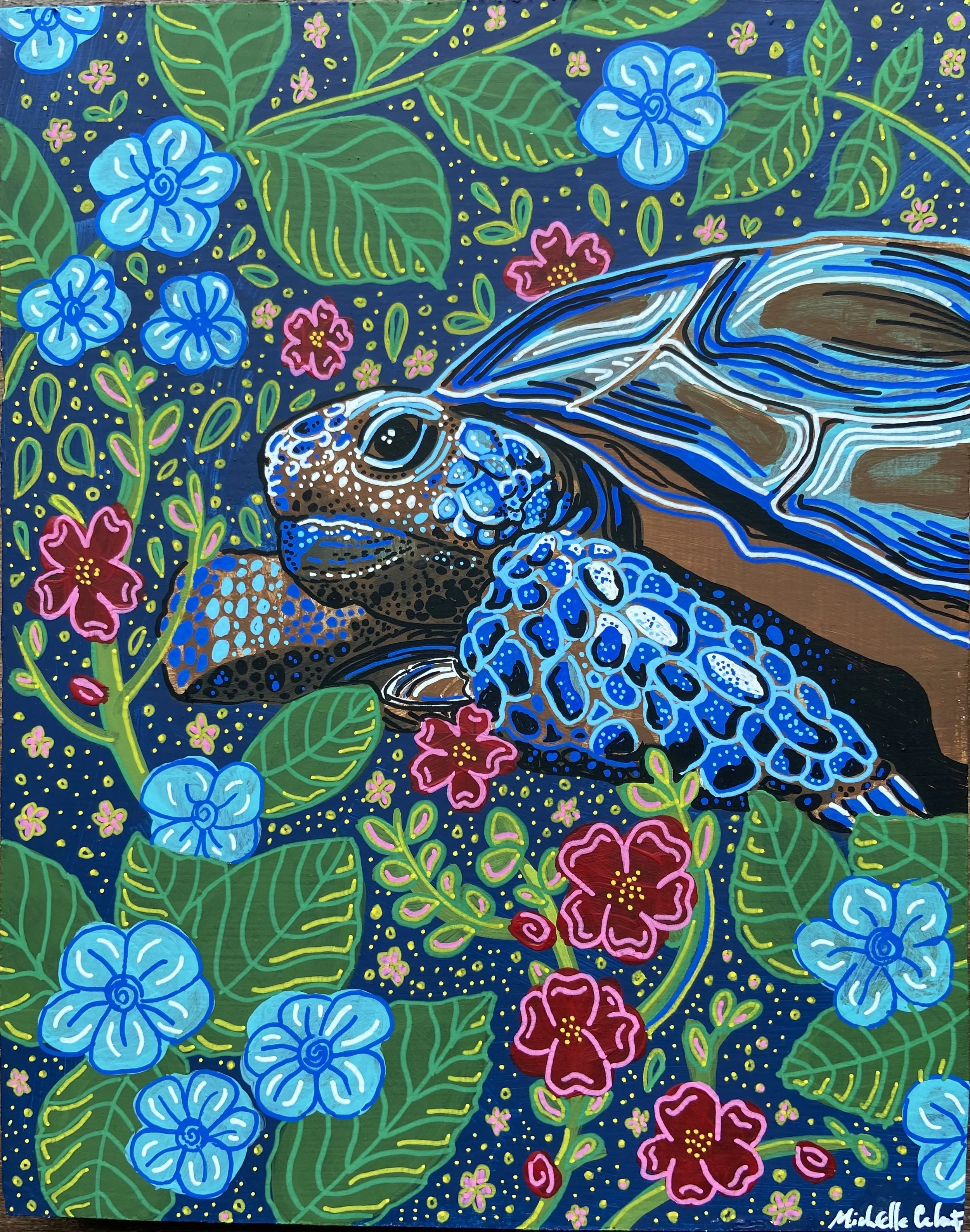 Tortoise1.jpg