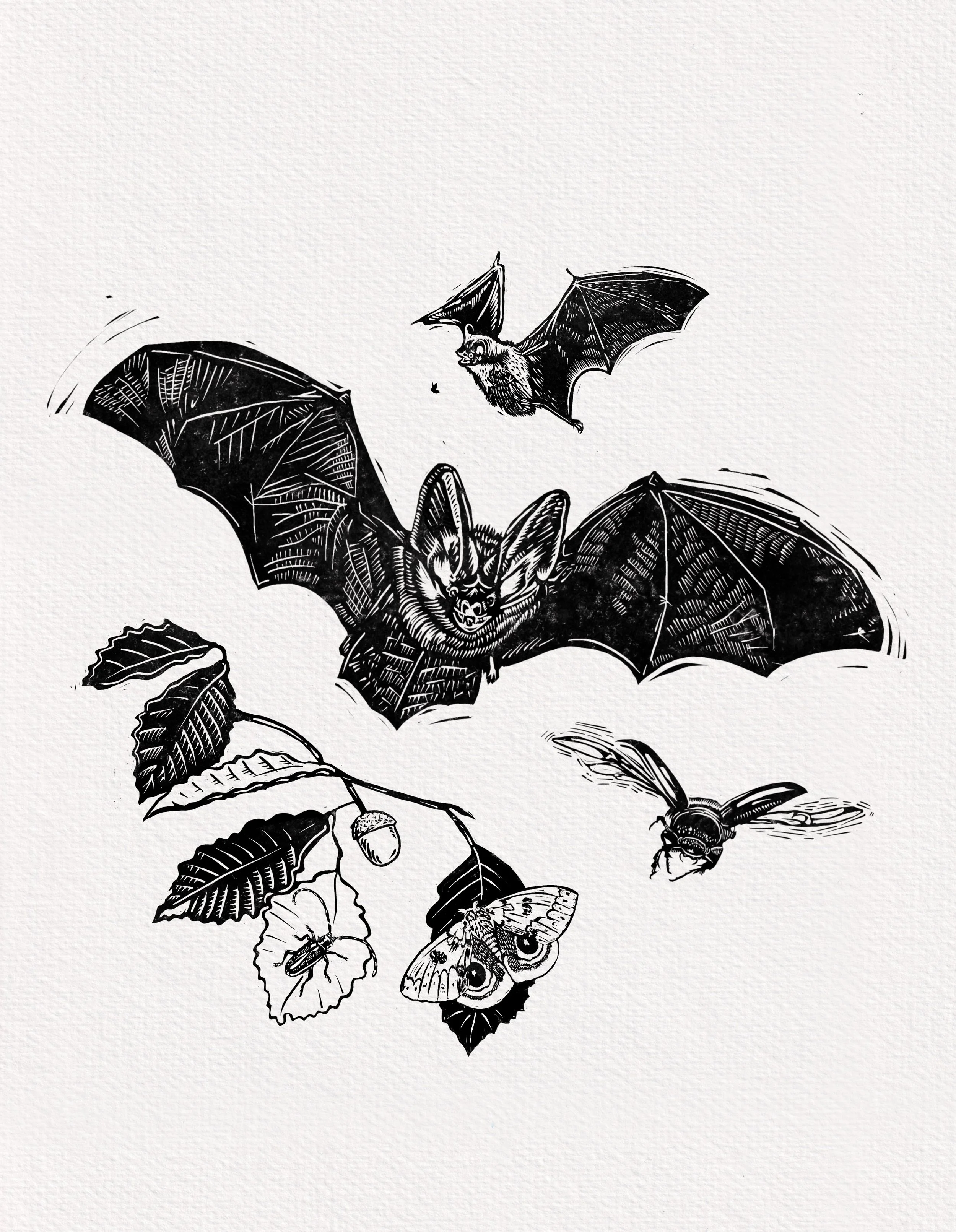 Bat-Blitz.jpg