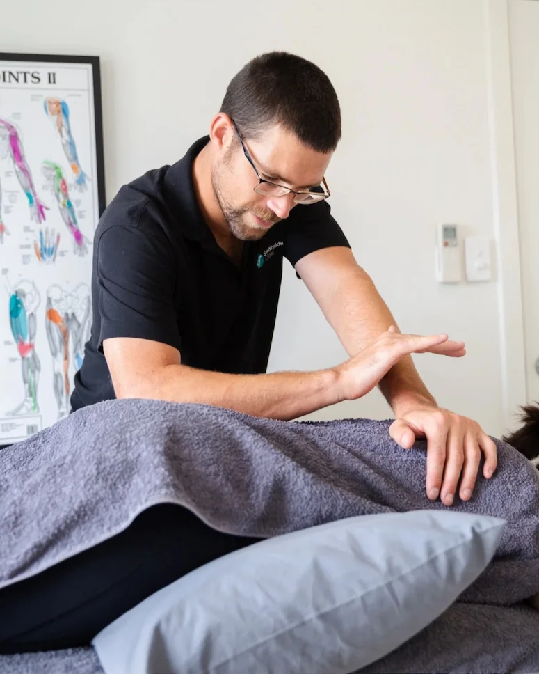 Osteopath Adelaide providing hands-on treatment for hip and back pain at Southside Clinic in Unley